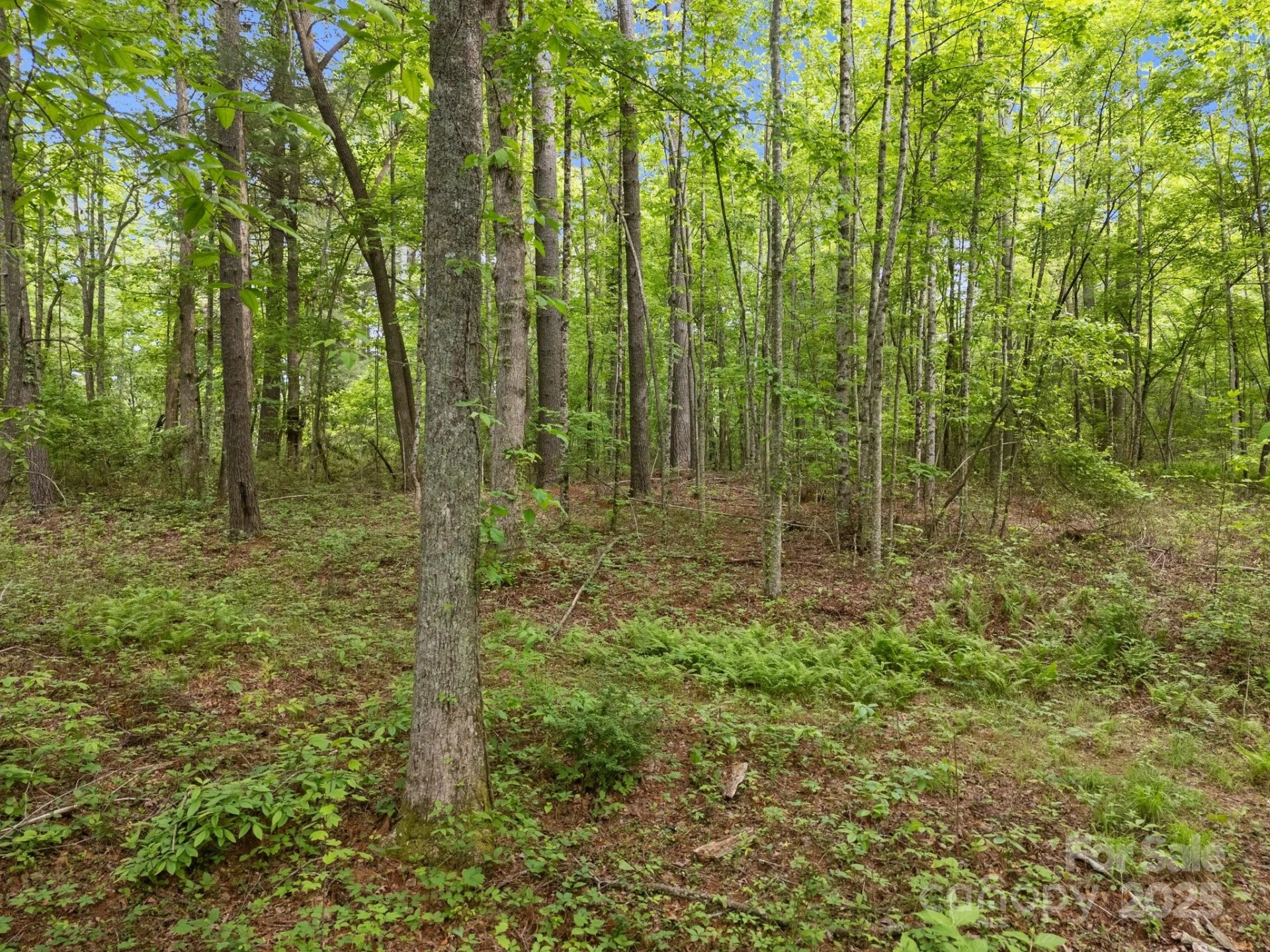 000 Red Fox Lane #17 - Photo 19