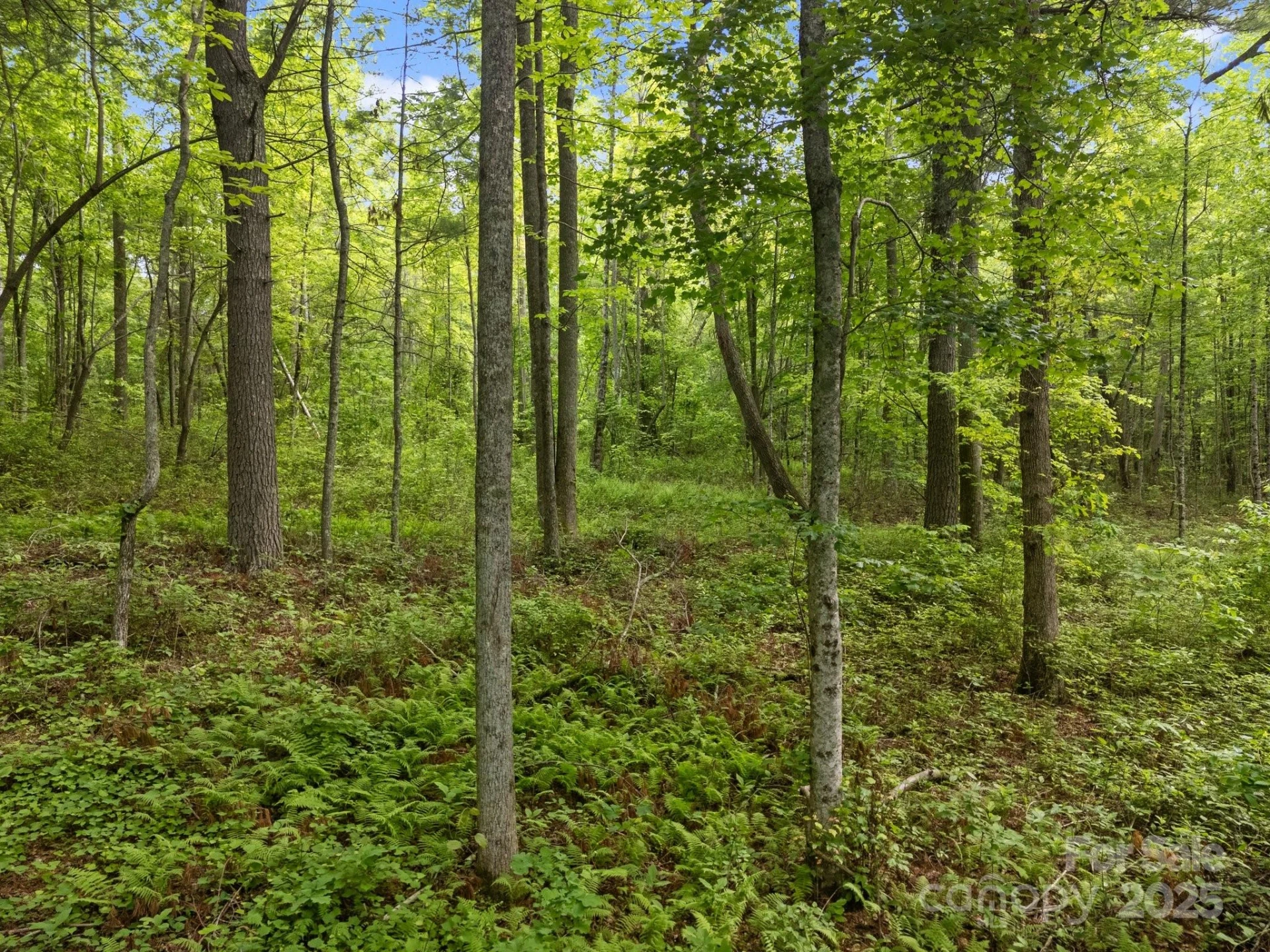 000 Red Fox Lane #17 - Photo 21