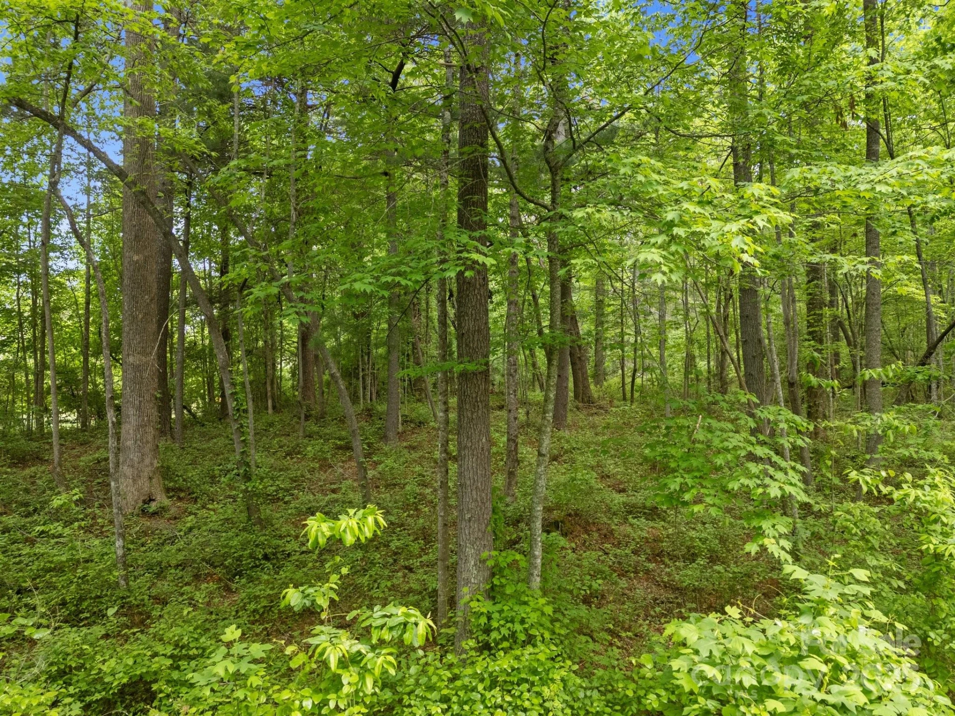 000 Red Fox Lane #17 - Photo 22
