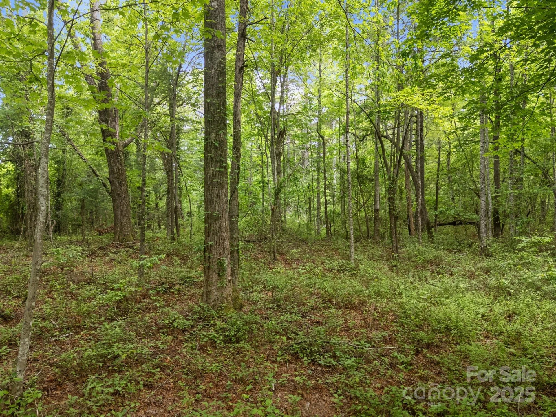 000 Red Fox Lane #17 - Photo 23