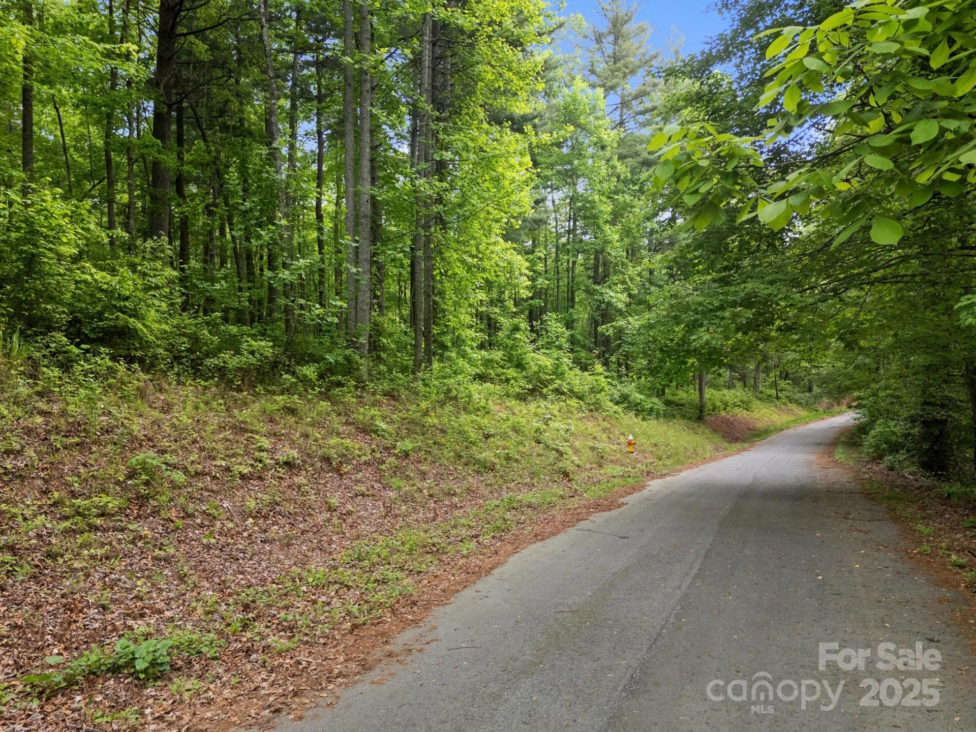 000 Red Fox Lane #17 - Photo 24