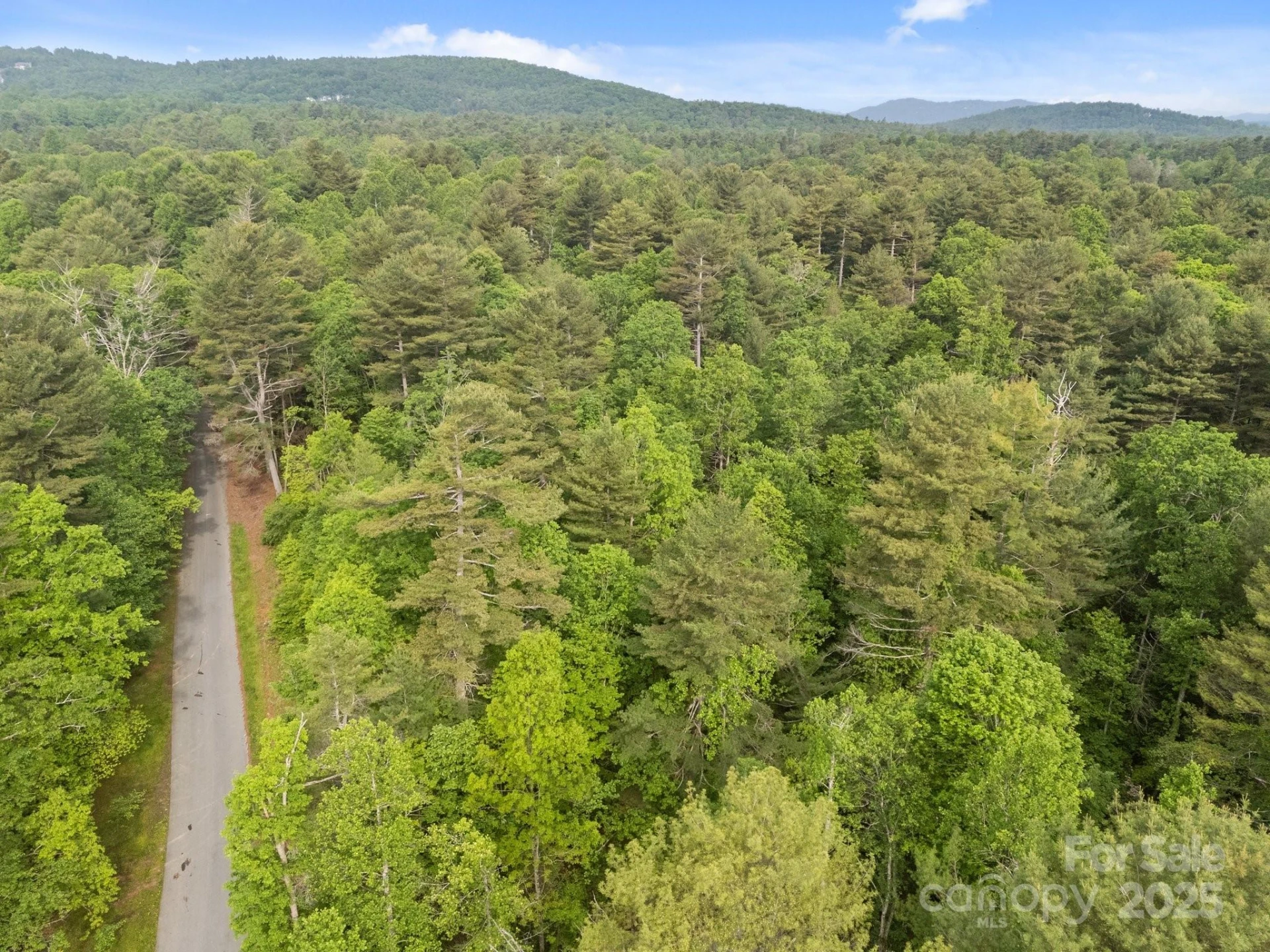 000 Red Fox Lane #17 - Photo 8