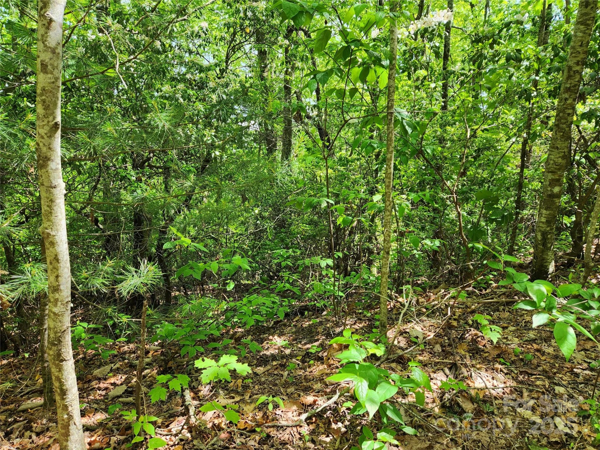 000 Boone Top None - Photo 4