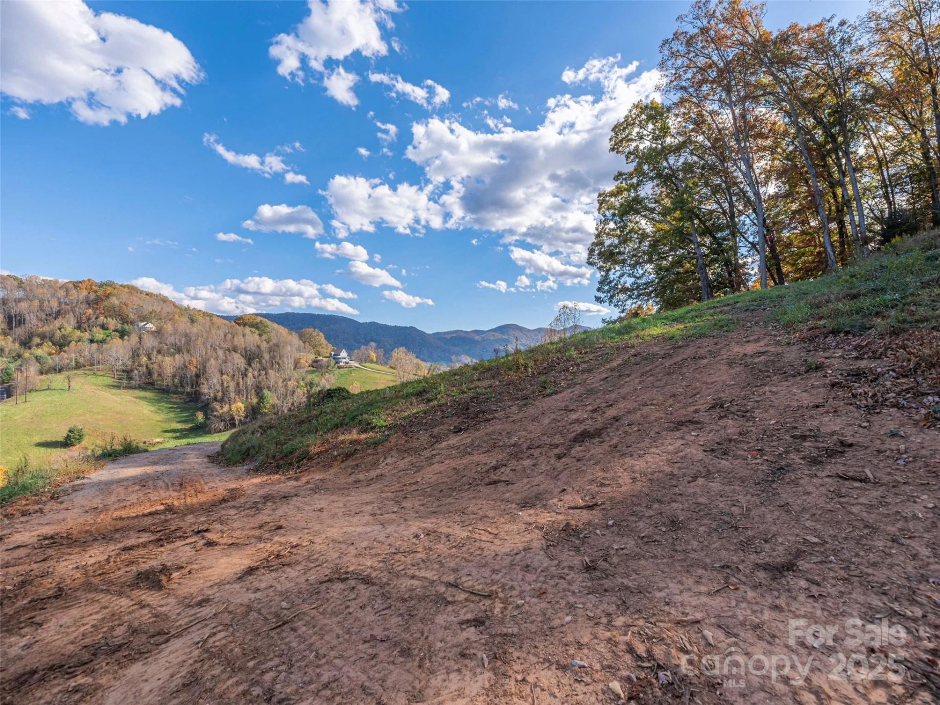 00 Aster Ridge Drive #10 - Photo 6