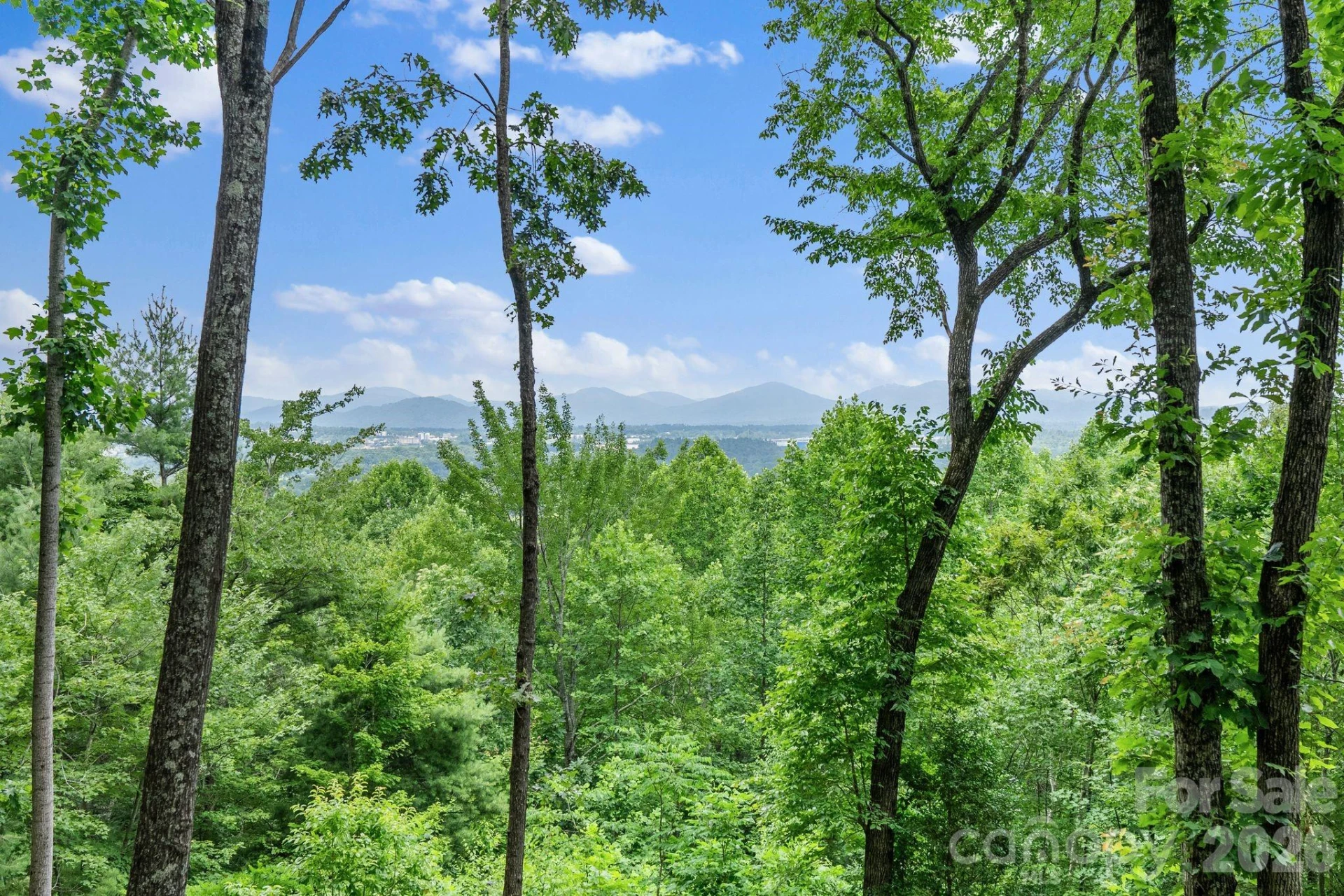 120 Split Rock Trail - Photo 4