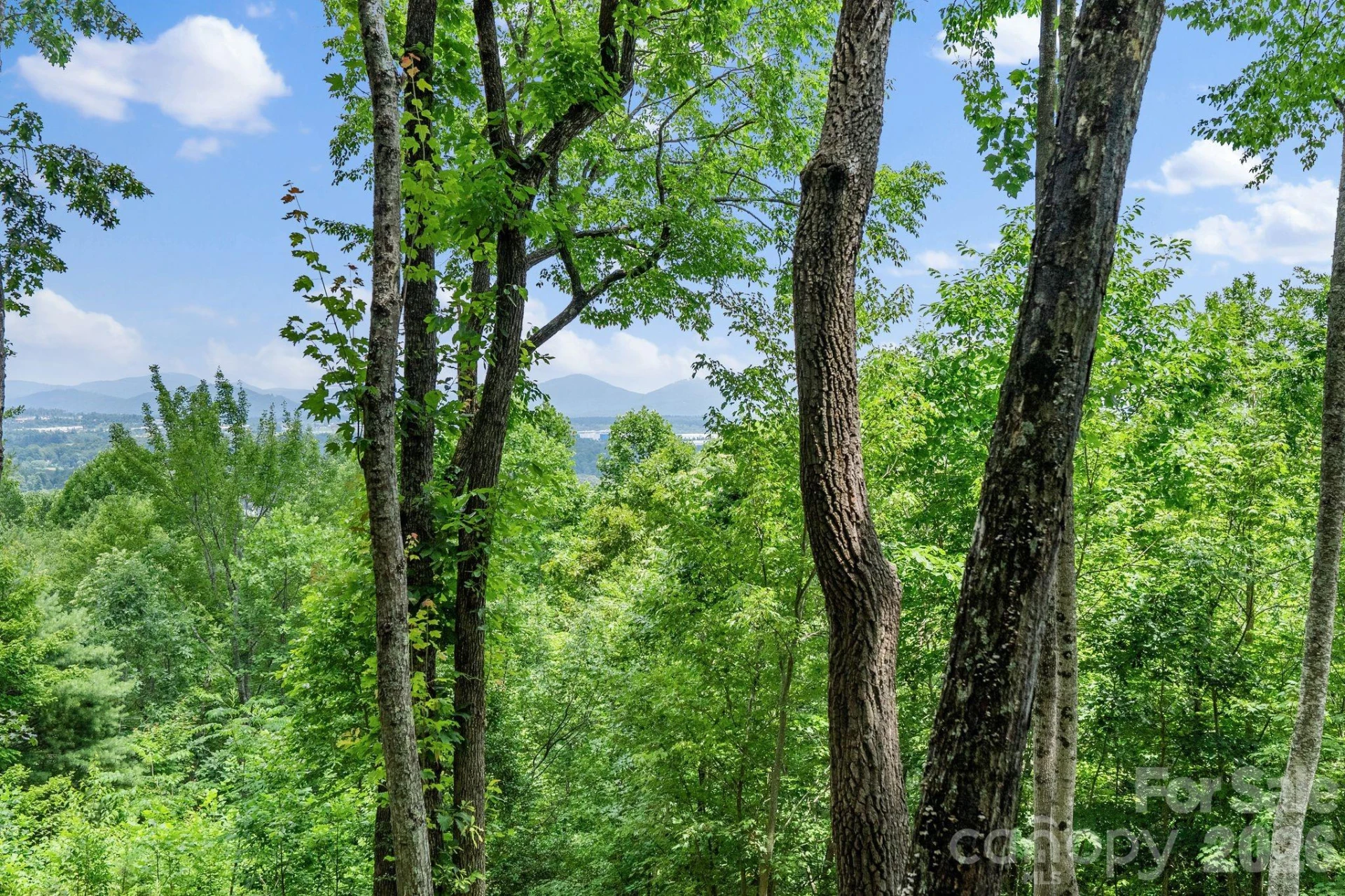 120 Split Rock Trail - Photo 5