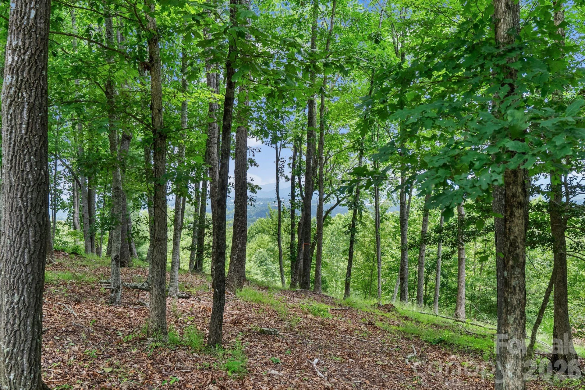 120 Split Rock Trail - Photo 6