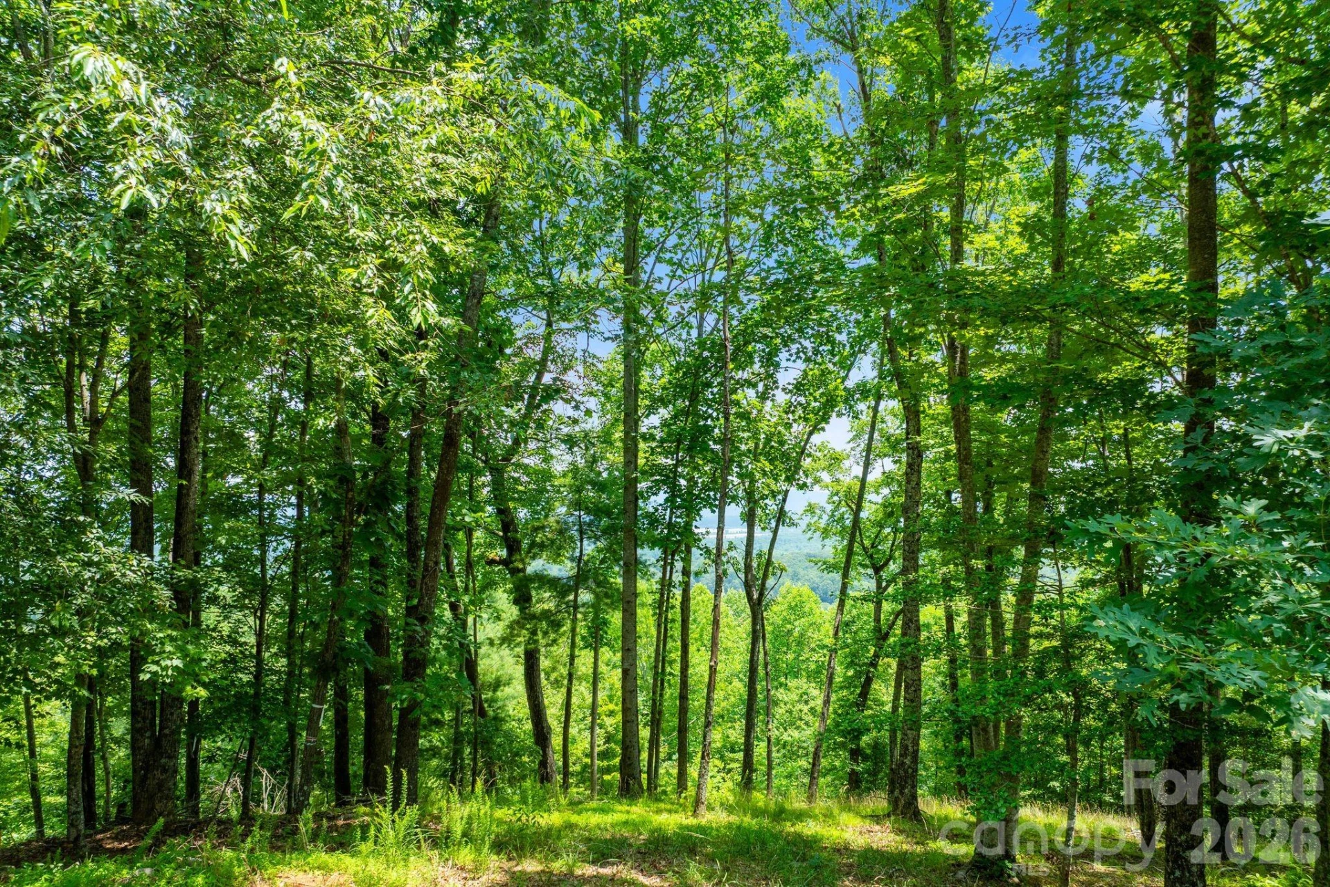 120 Split Rock Trail - Photo 7
