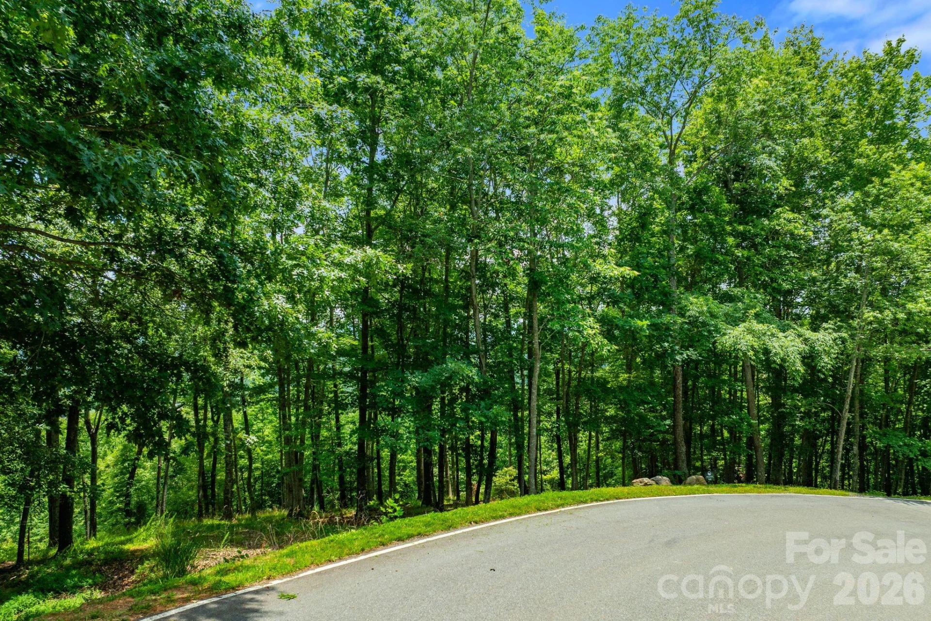 120 Split Rock Trail - Photo 8