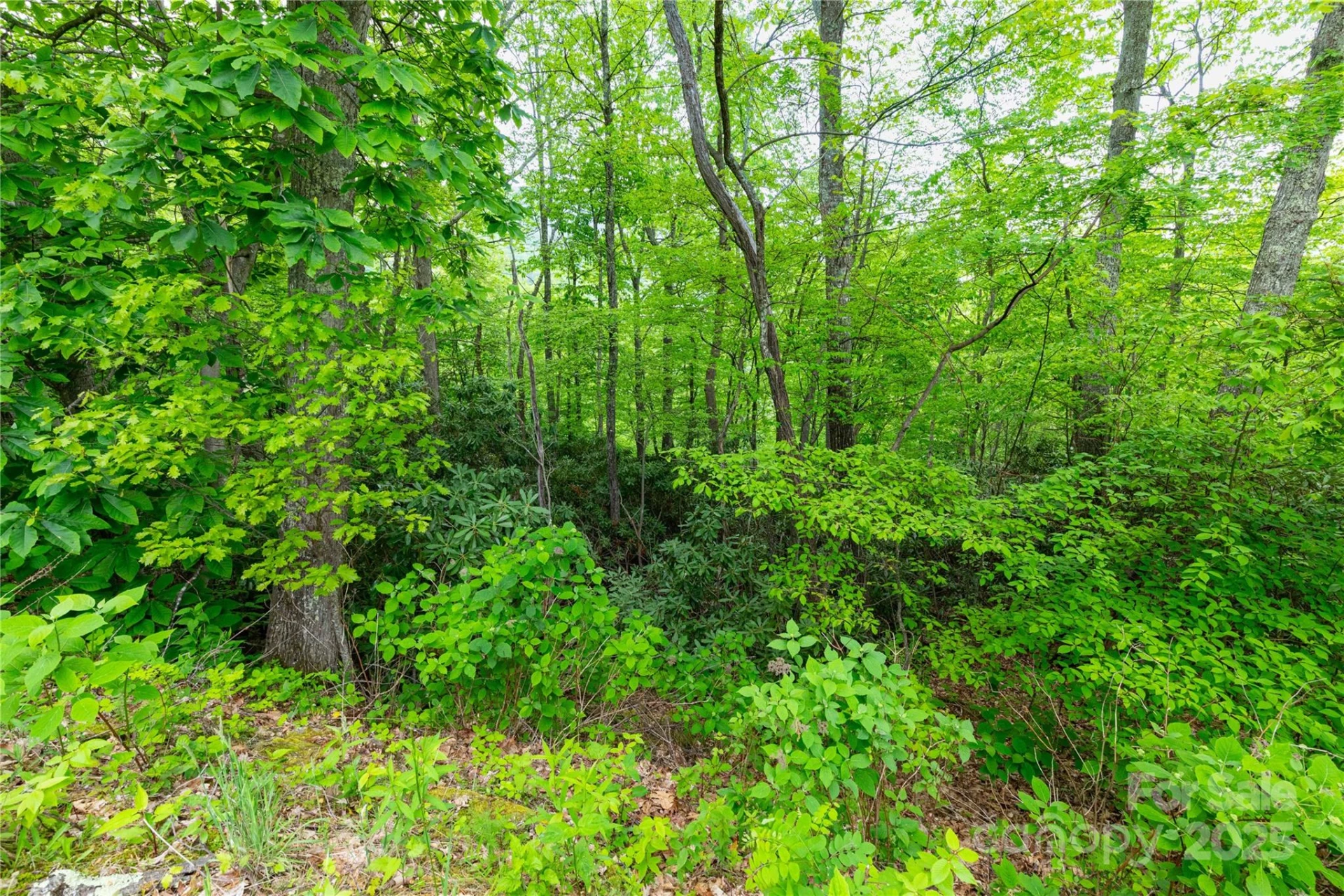 999 Mount Soma Boulevard - Photo 9