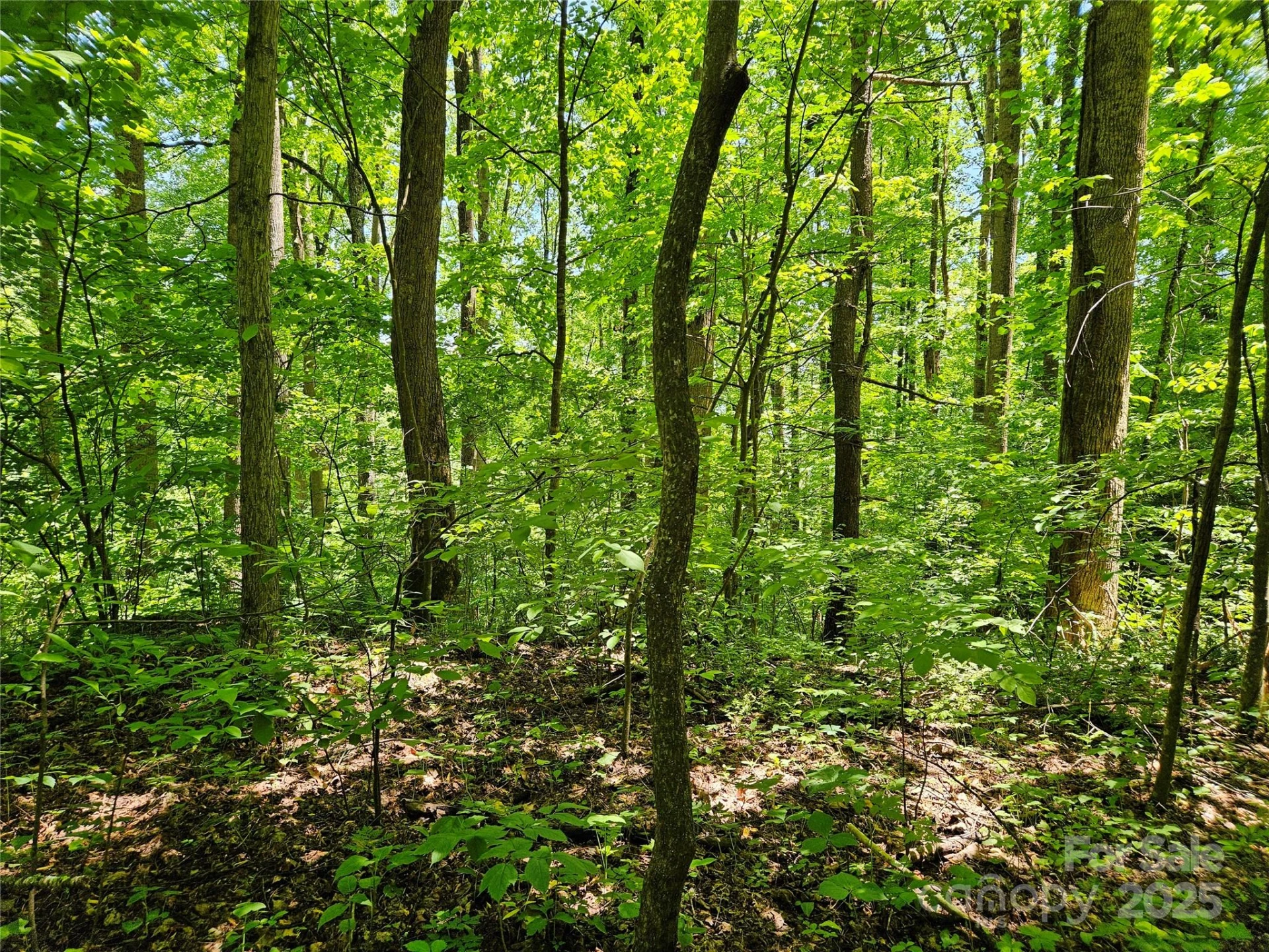 00 Owens Road - Photo 11