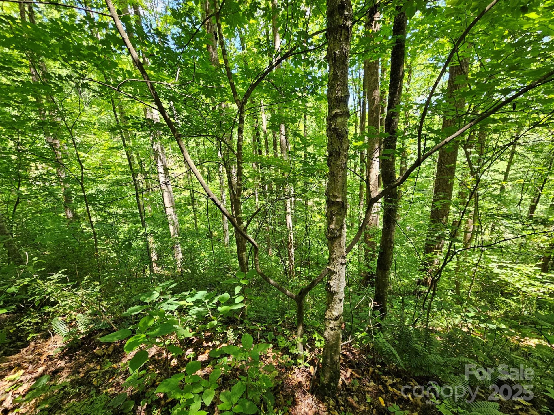 00 Owens Road - Photo 14