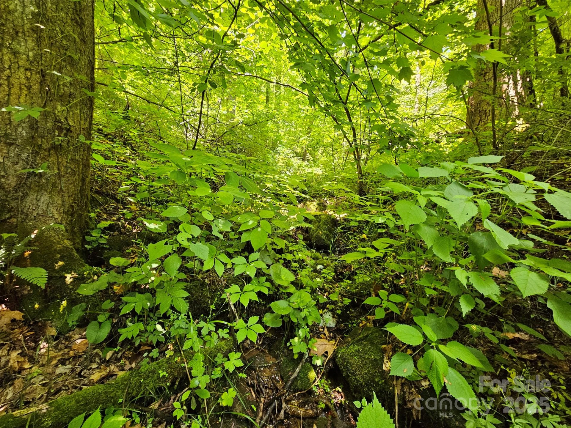 00 Owens Road - Photo 7