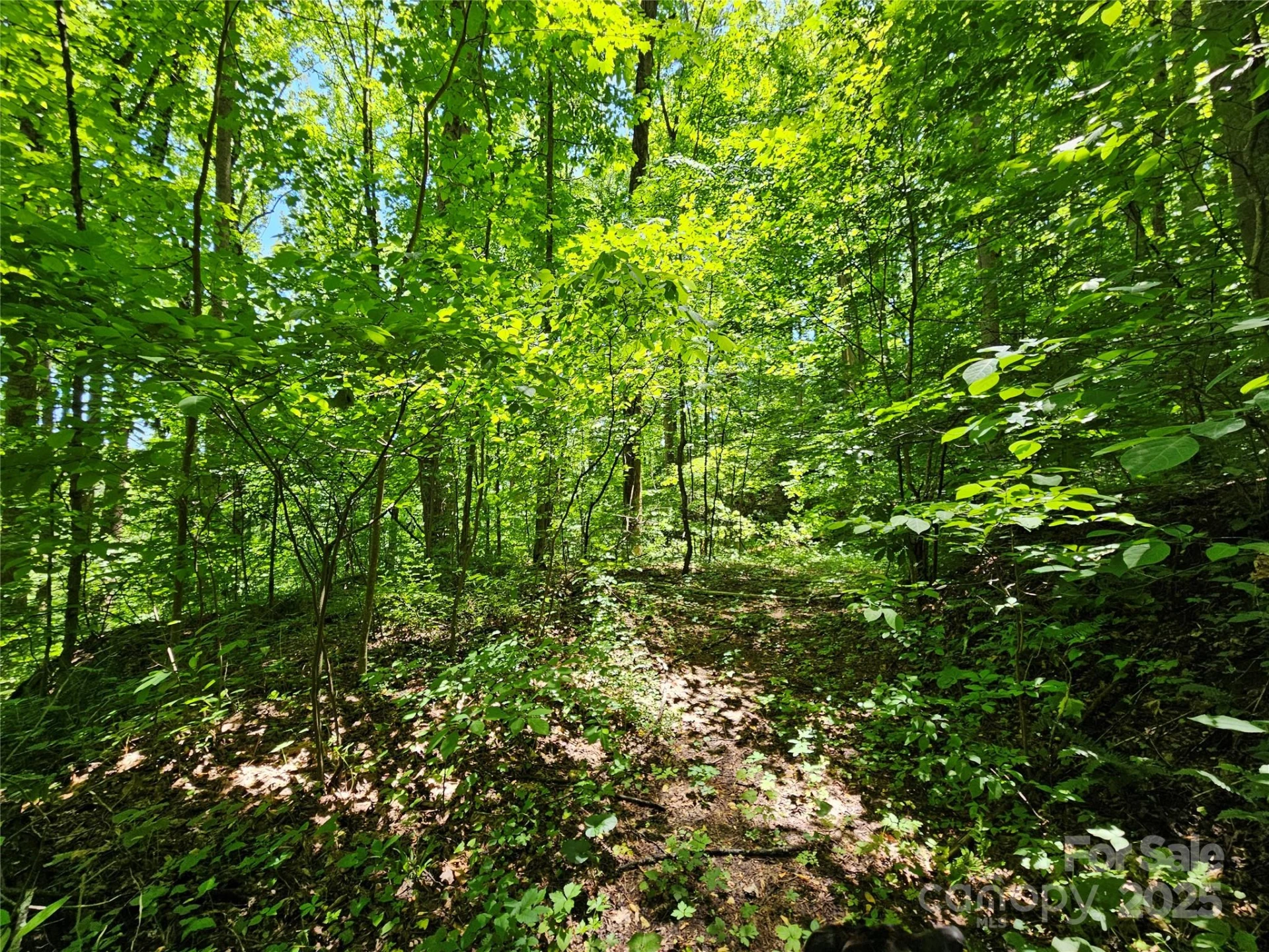 00 Owens Road - Photo 9