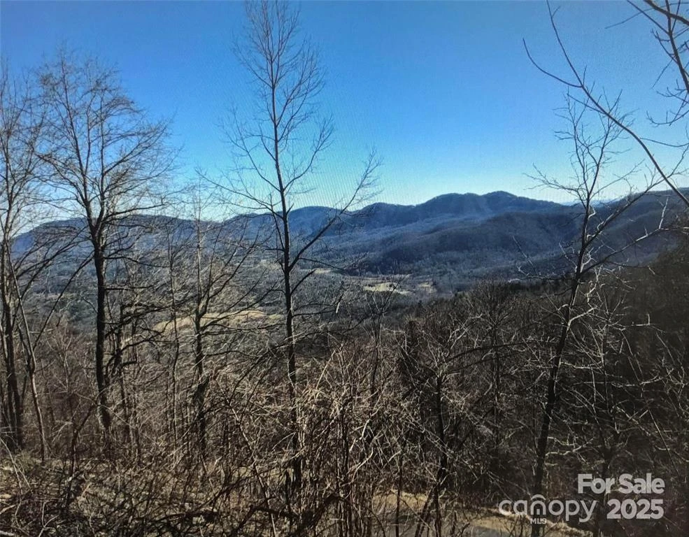 1591 Creston Drive #T-78 - Photo 6