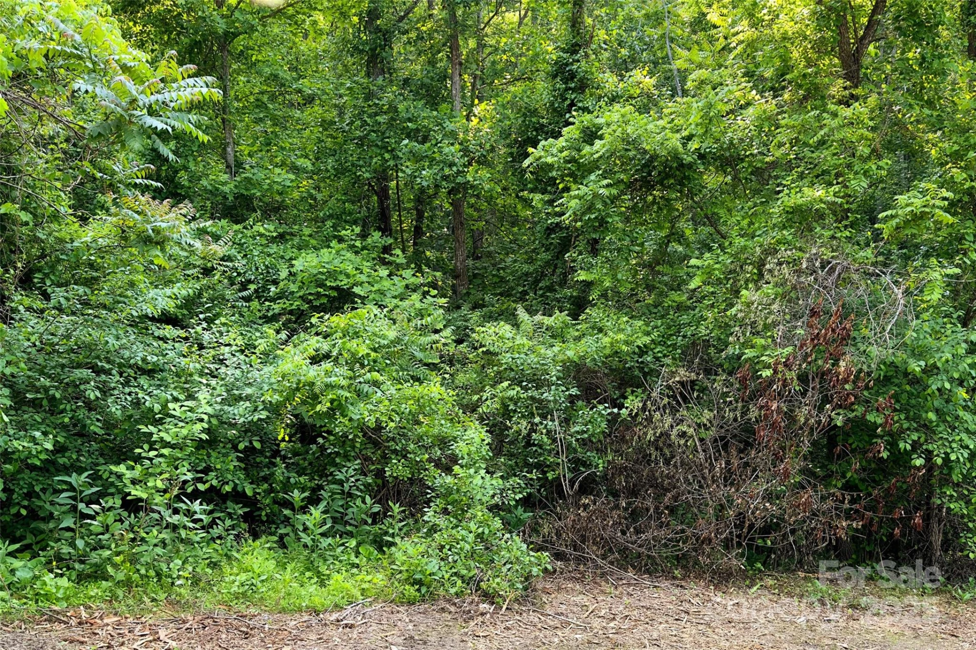 V/L Smith Knolls Road - Photo 16