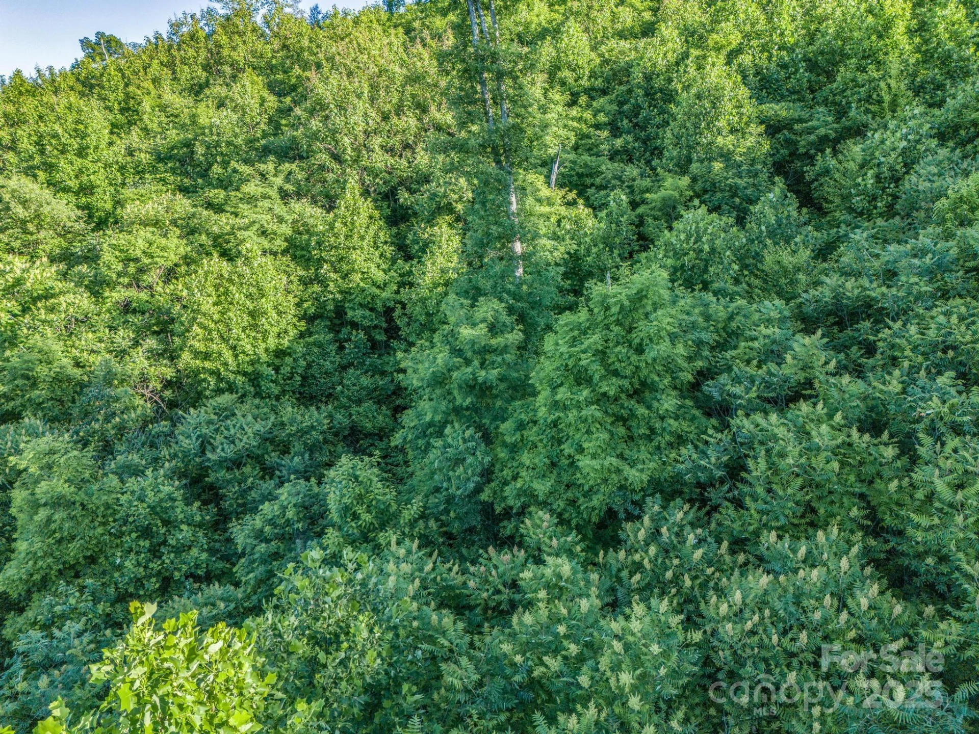 00 H and H Trail - Photo 6