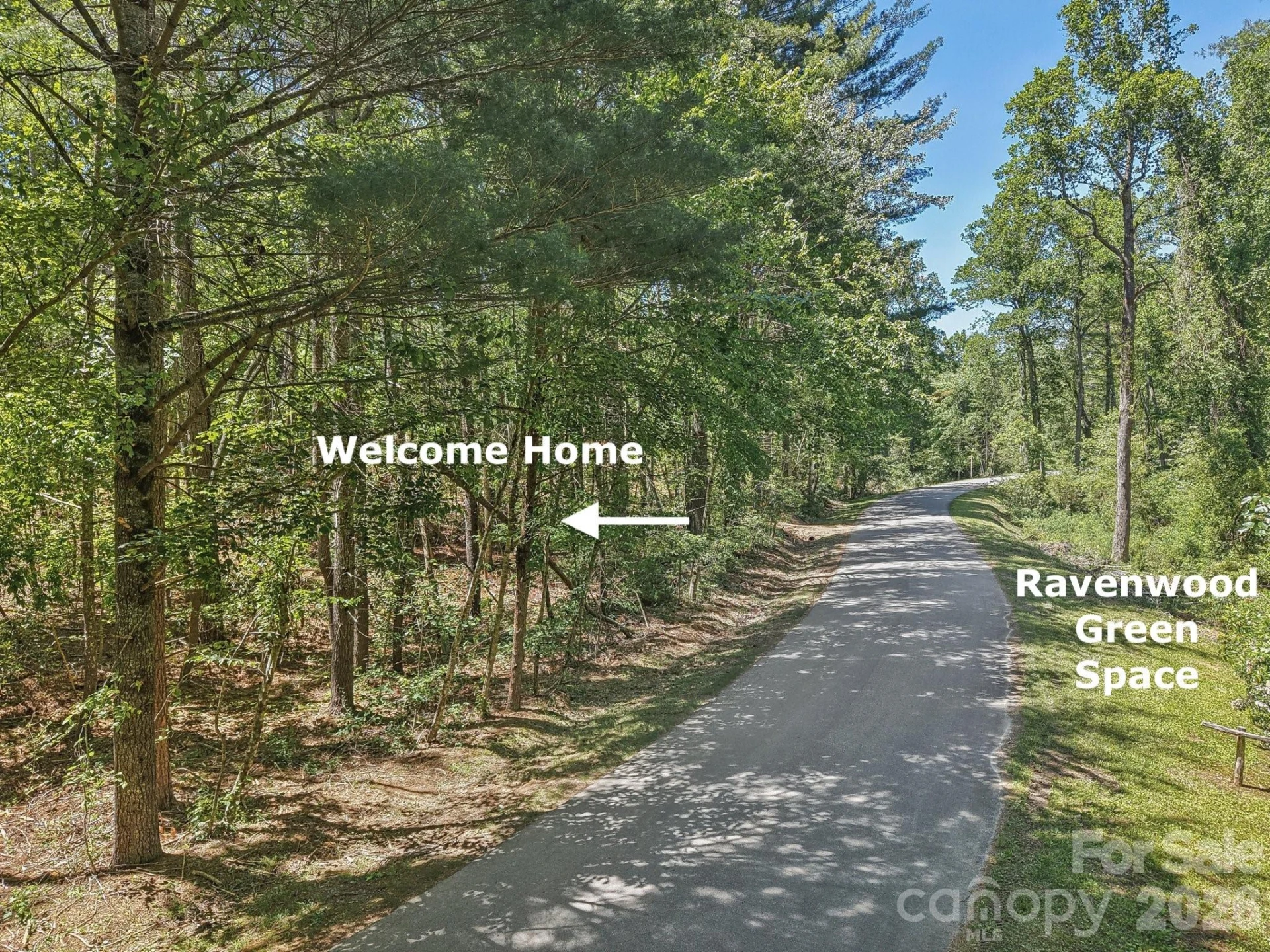 000 Ravenwood Drive #6