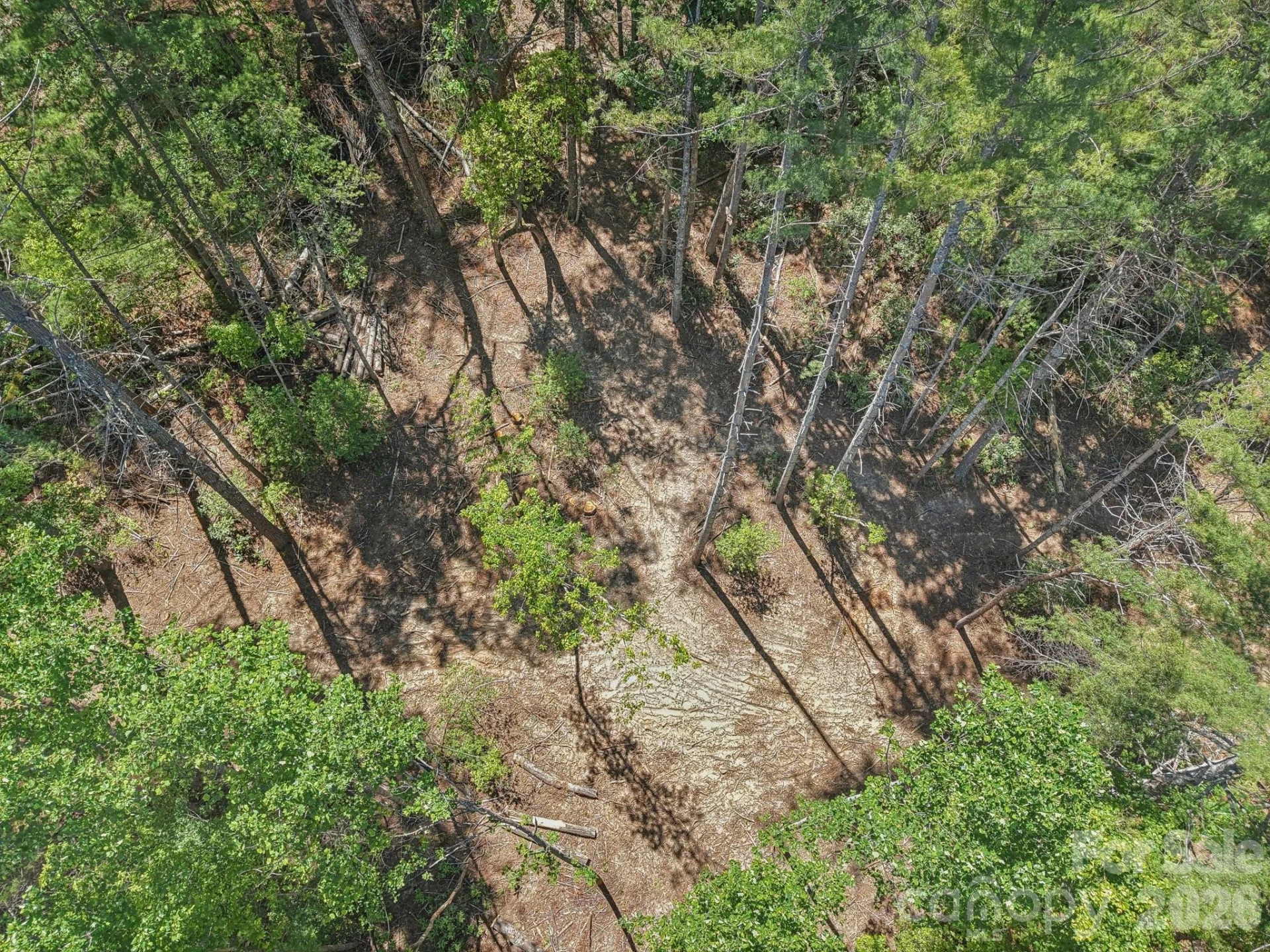 000 Ravenwood Drive #6 - Photo 13