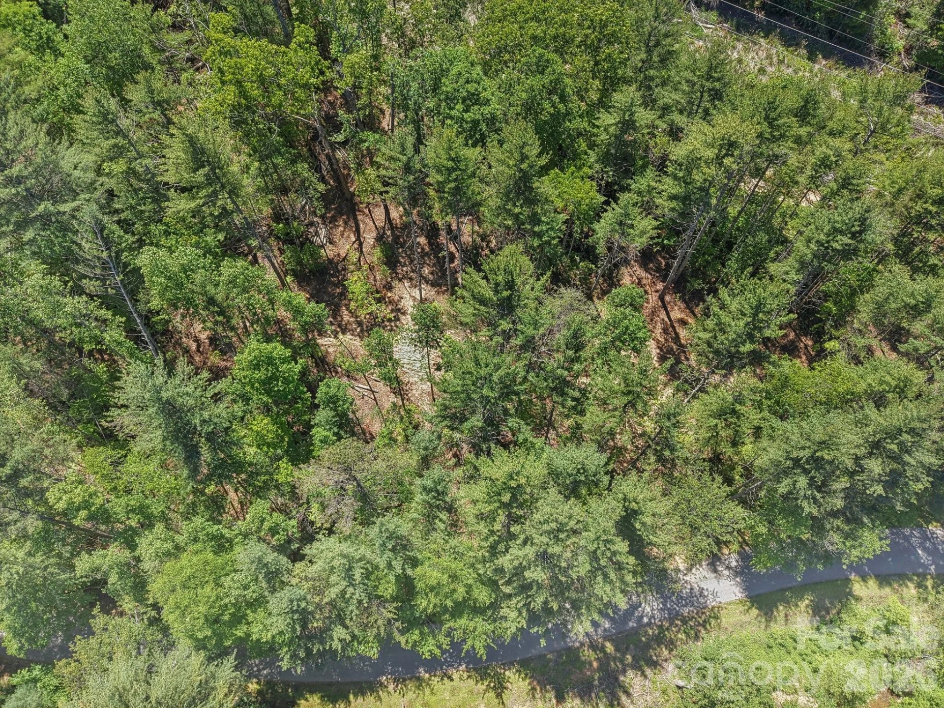 000 Ravenwood Drive #6 - Photo 15