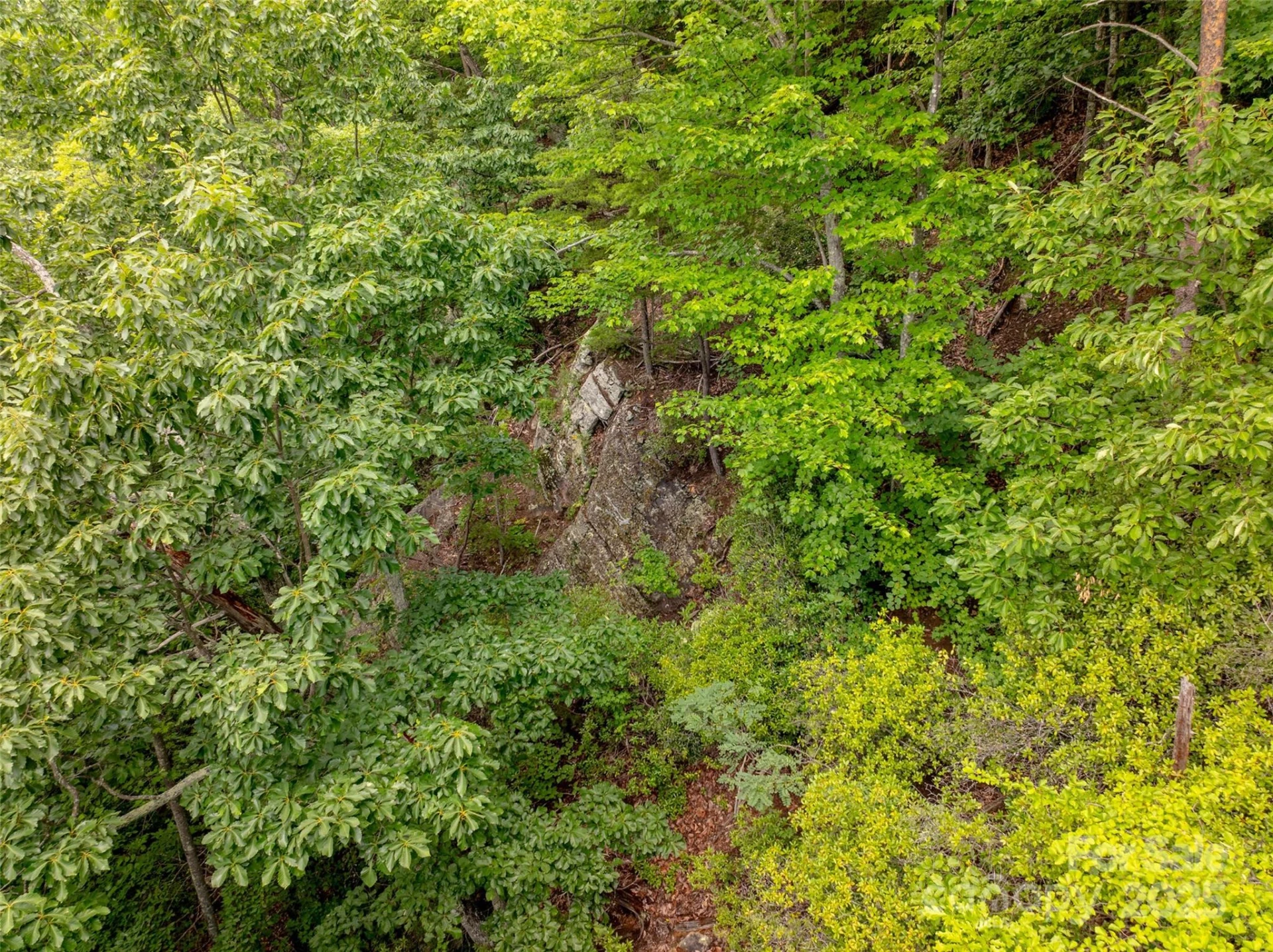 0 Doubleview Drive - Photo 4