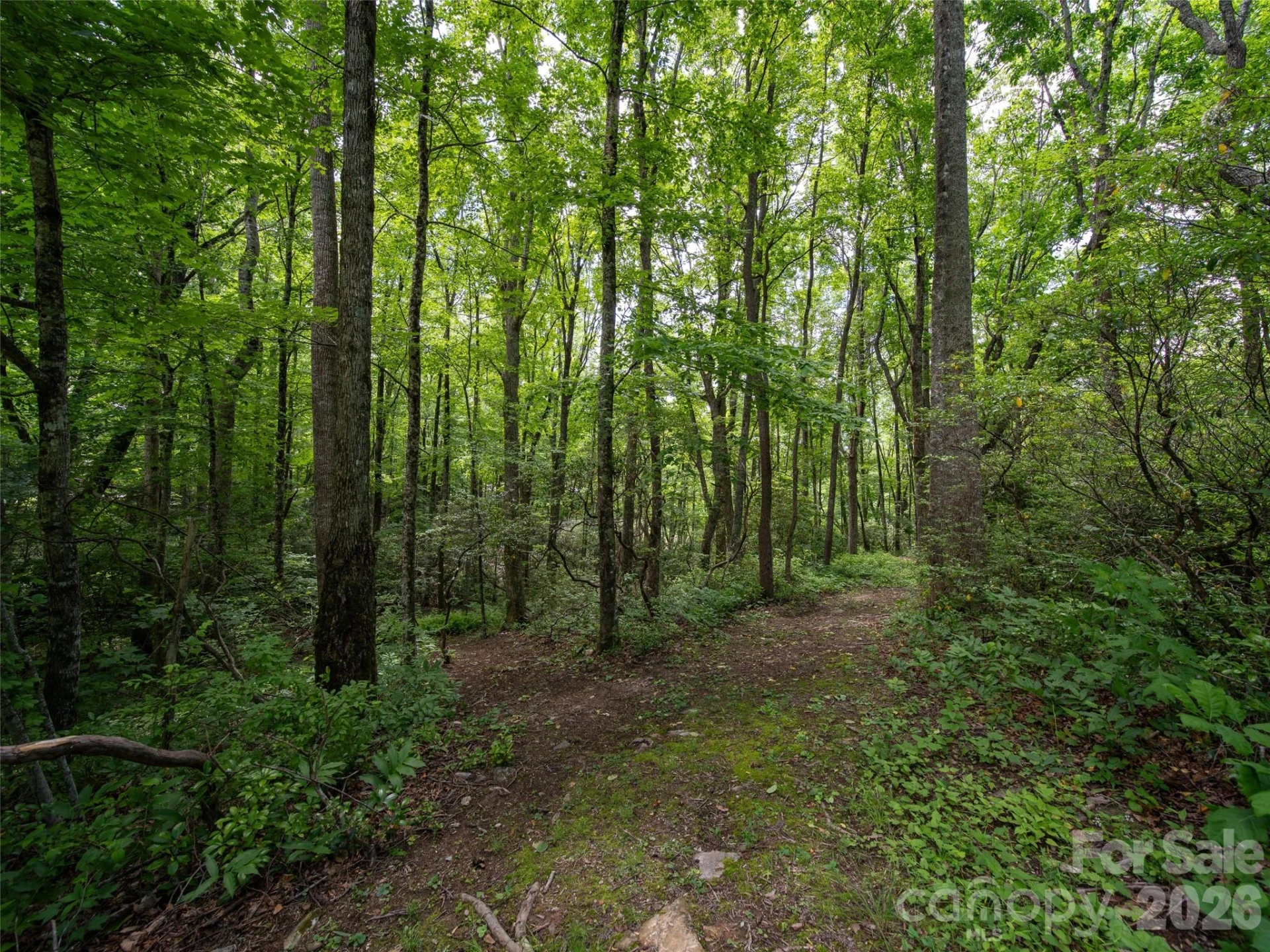 83 Waterstone Drive #46 - Photo 3