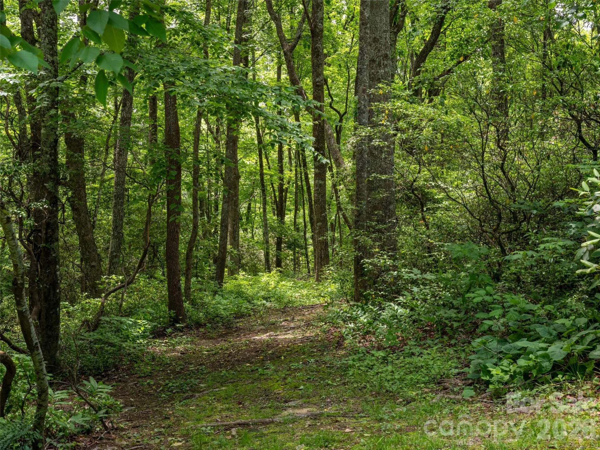 83 Waterstone Drive #46 - Photo 6