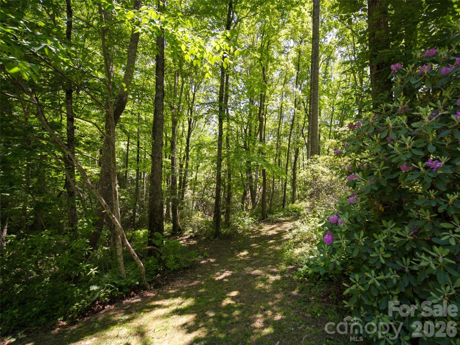 83 Waterstone Drive #46 - Photo 5