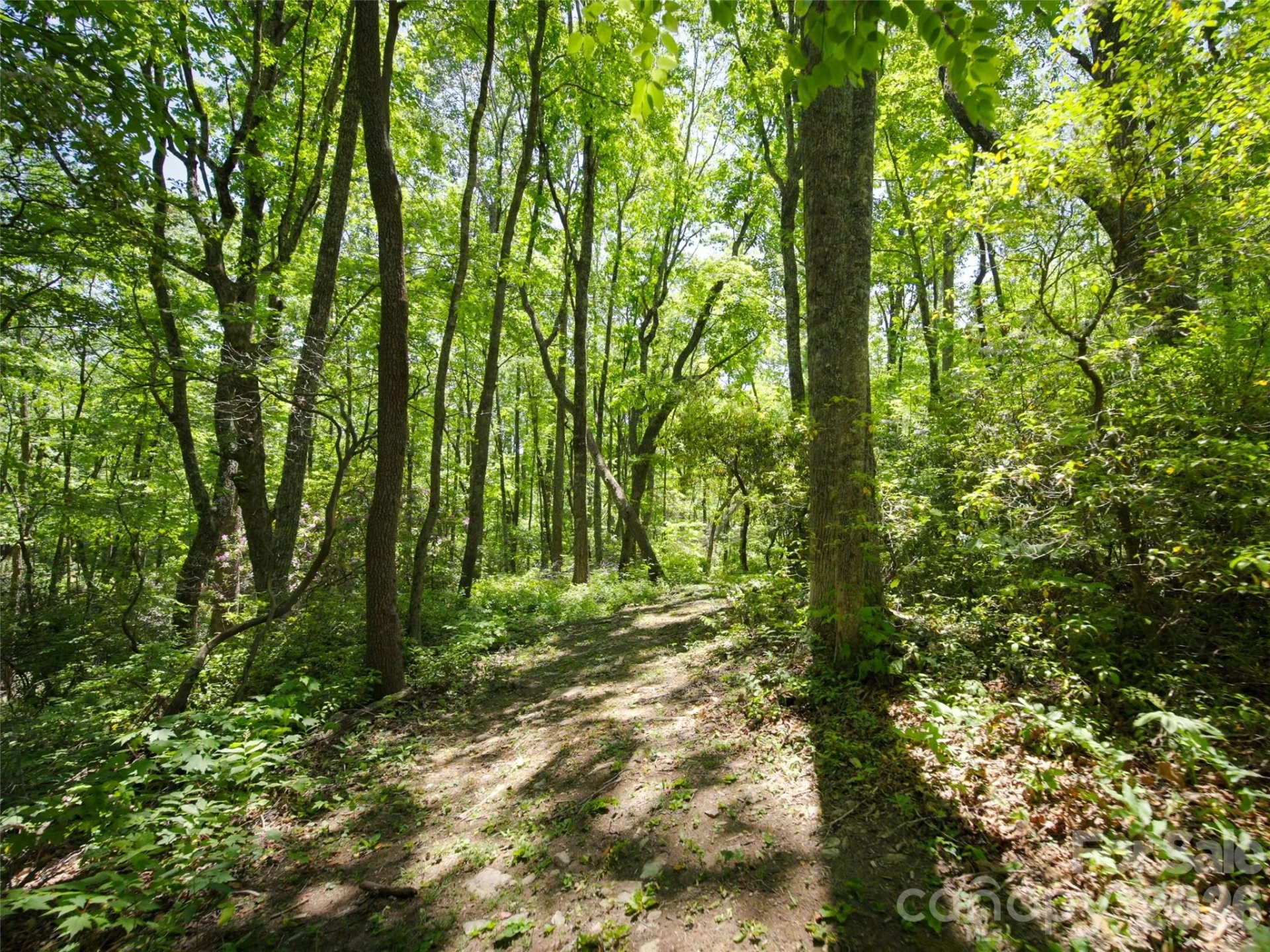 83 Waterstone Drive #46 - Photo 7