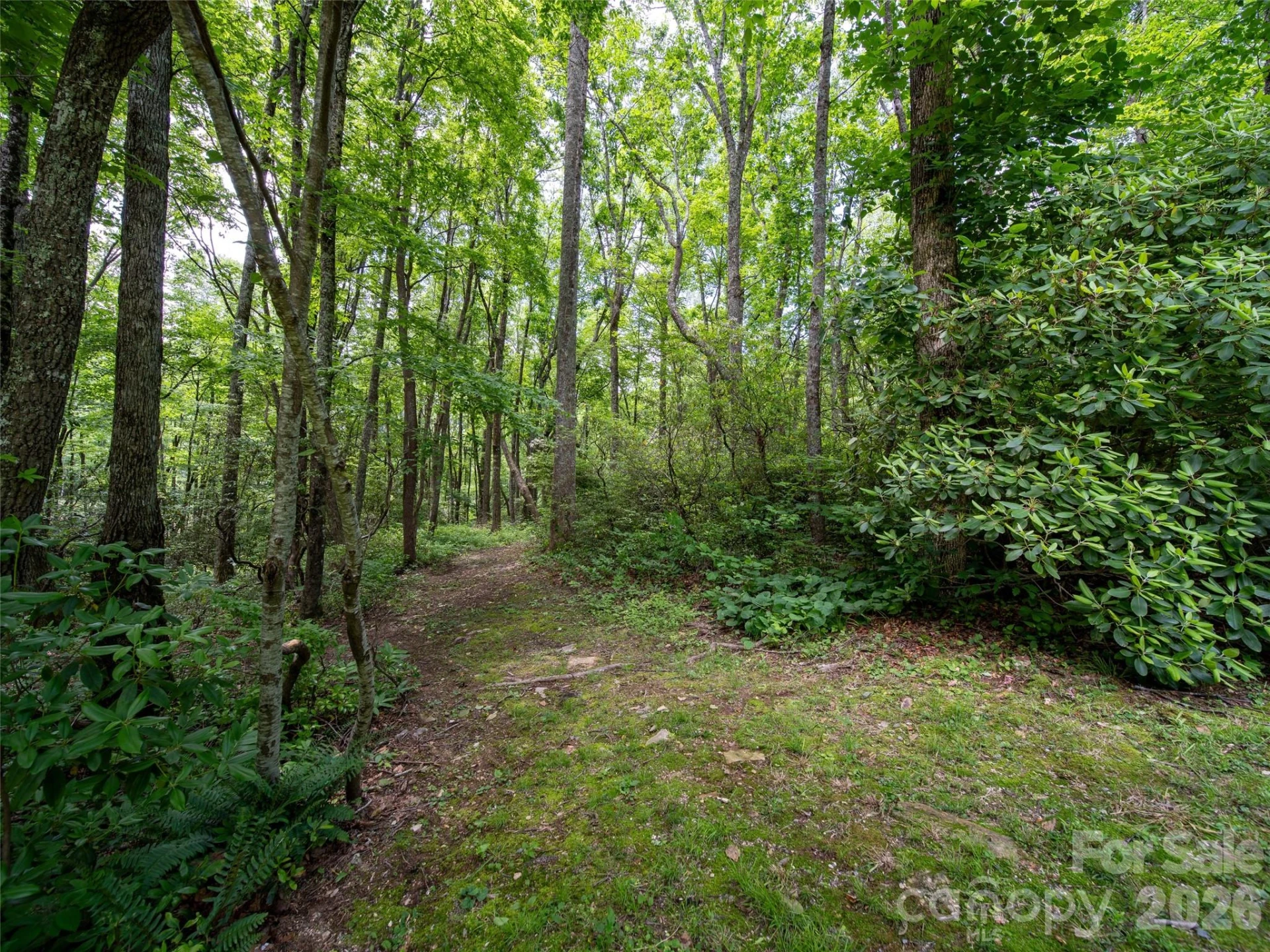 83 Waterstone Drive #46 - Photo 2