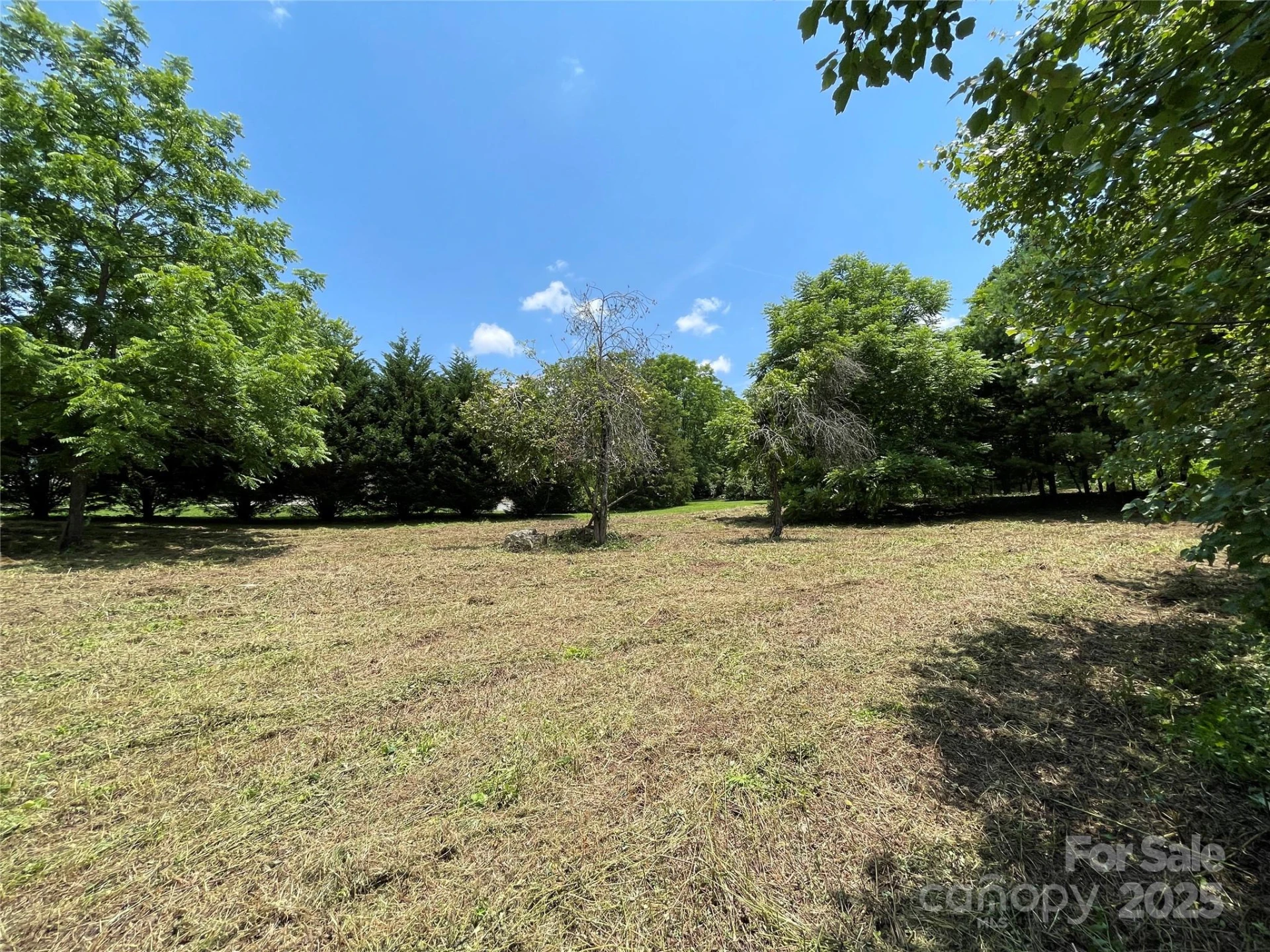 150 Founders Drive #159 - Photo 21