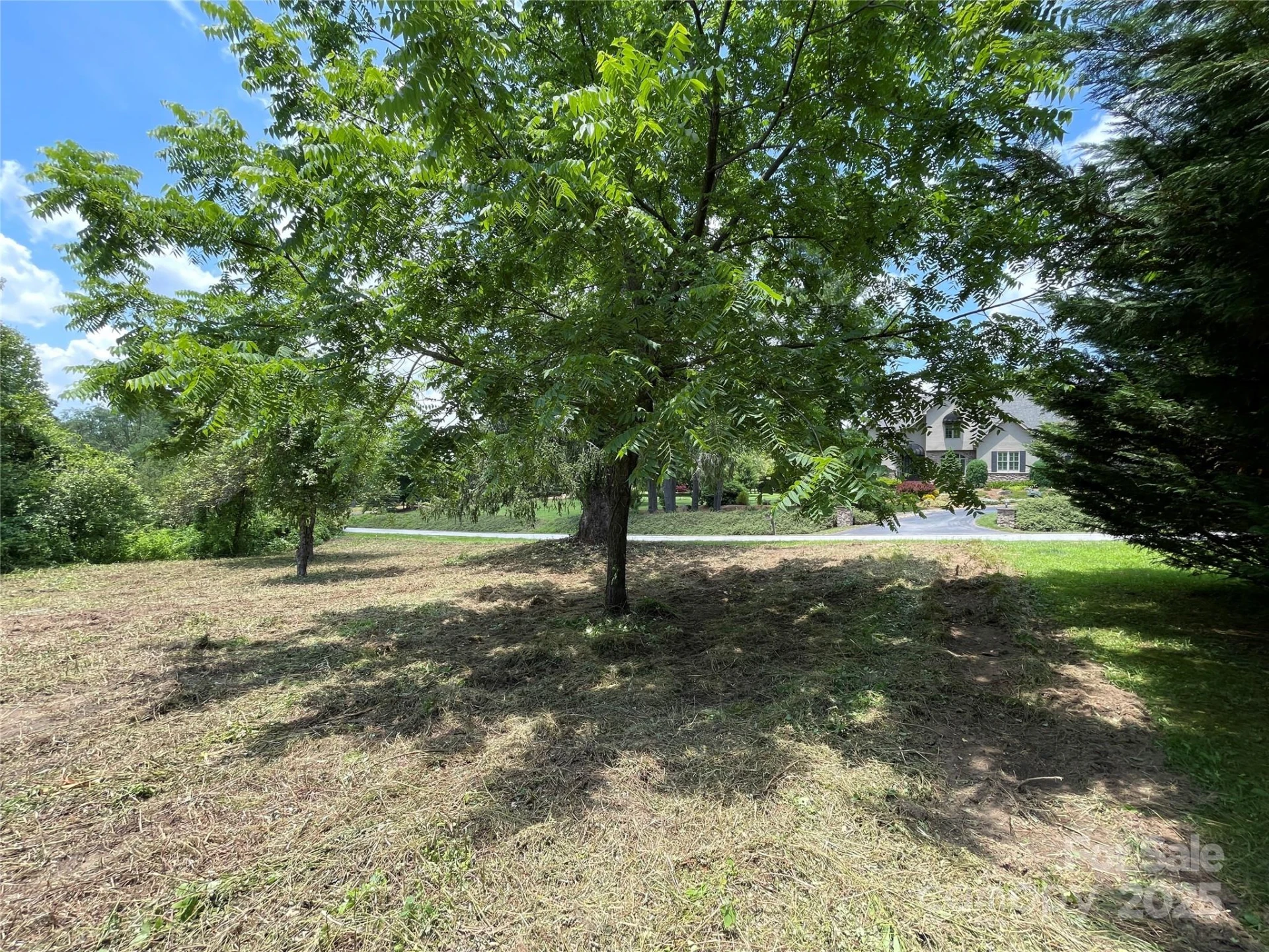 150 Founders Drive #159 - Photo 28