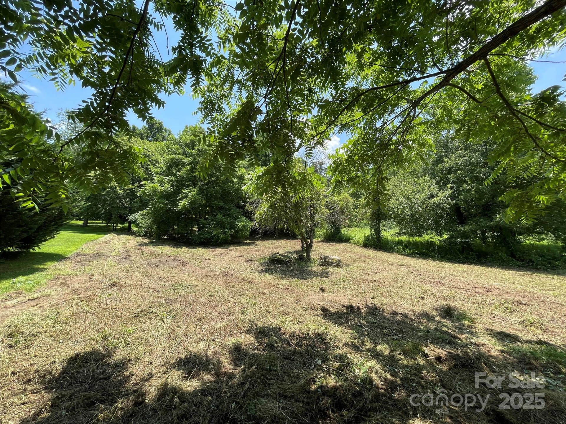 150 Founders Drive #159 - Photo 9