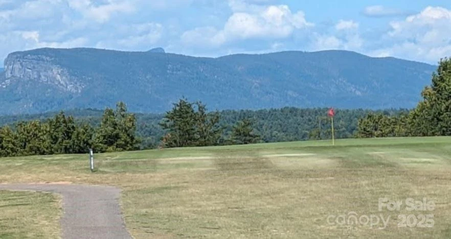 tbd Misty Mountain Drive #35 - Photo 19