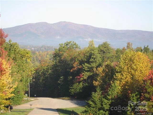 tbd Misty Mountain Drive #35 - Photo 3
