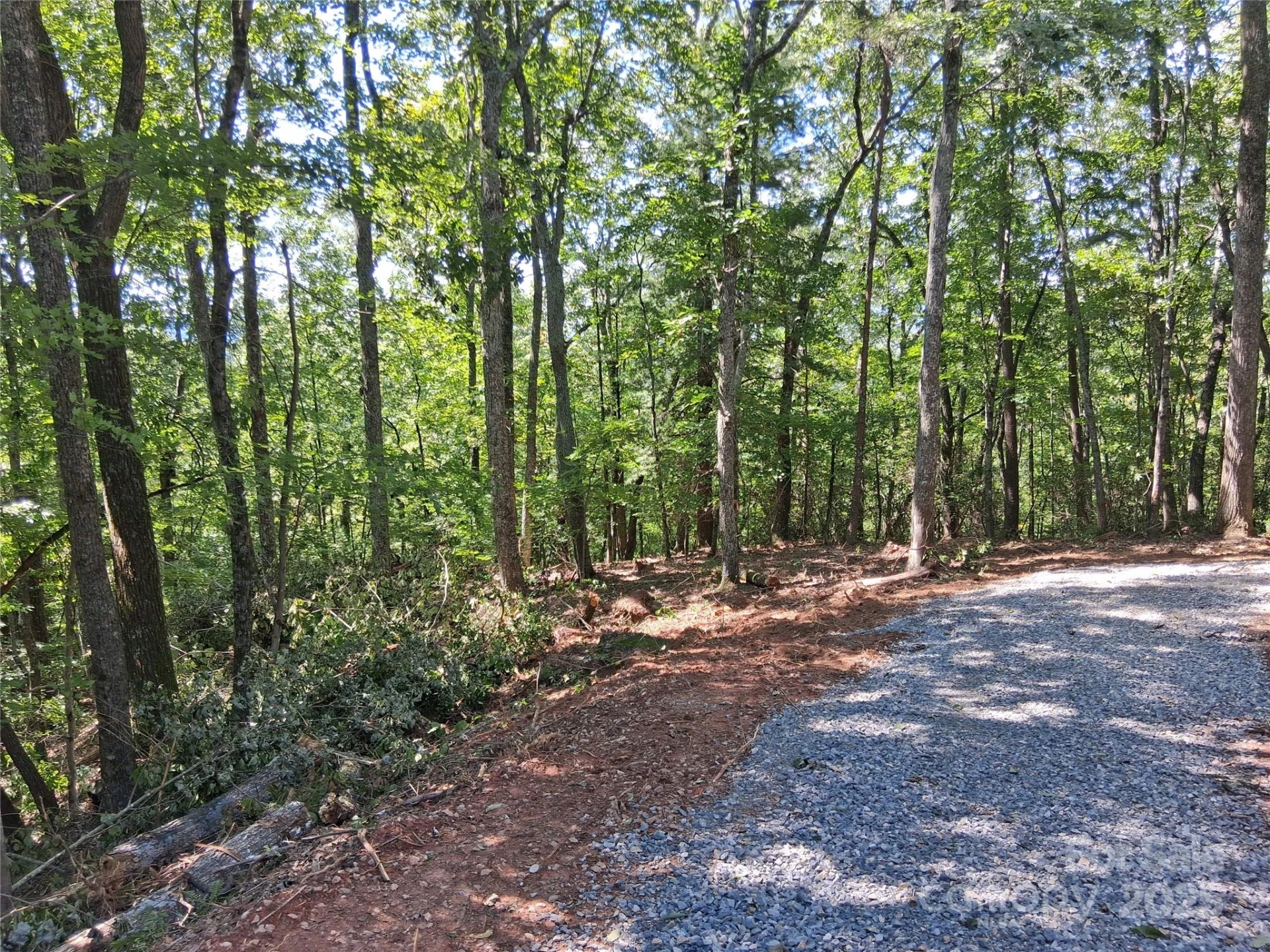tbd Misty Mountain Drive #35 - Photo 10