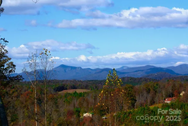 488 Moonlight Pass, Union Mills, NC, 28167