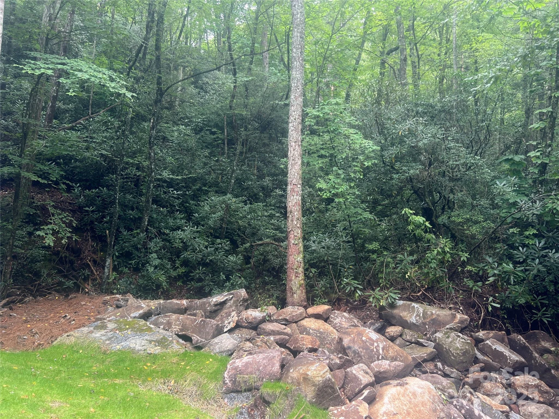 TBD Fairway Drive - Photo 7