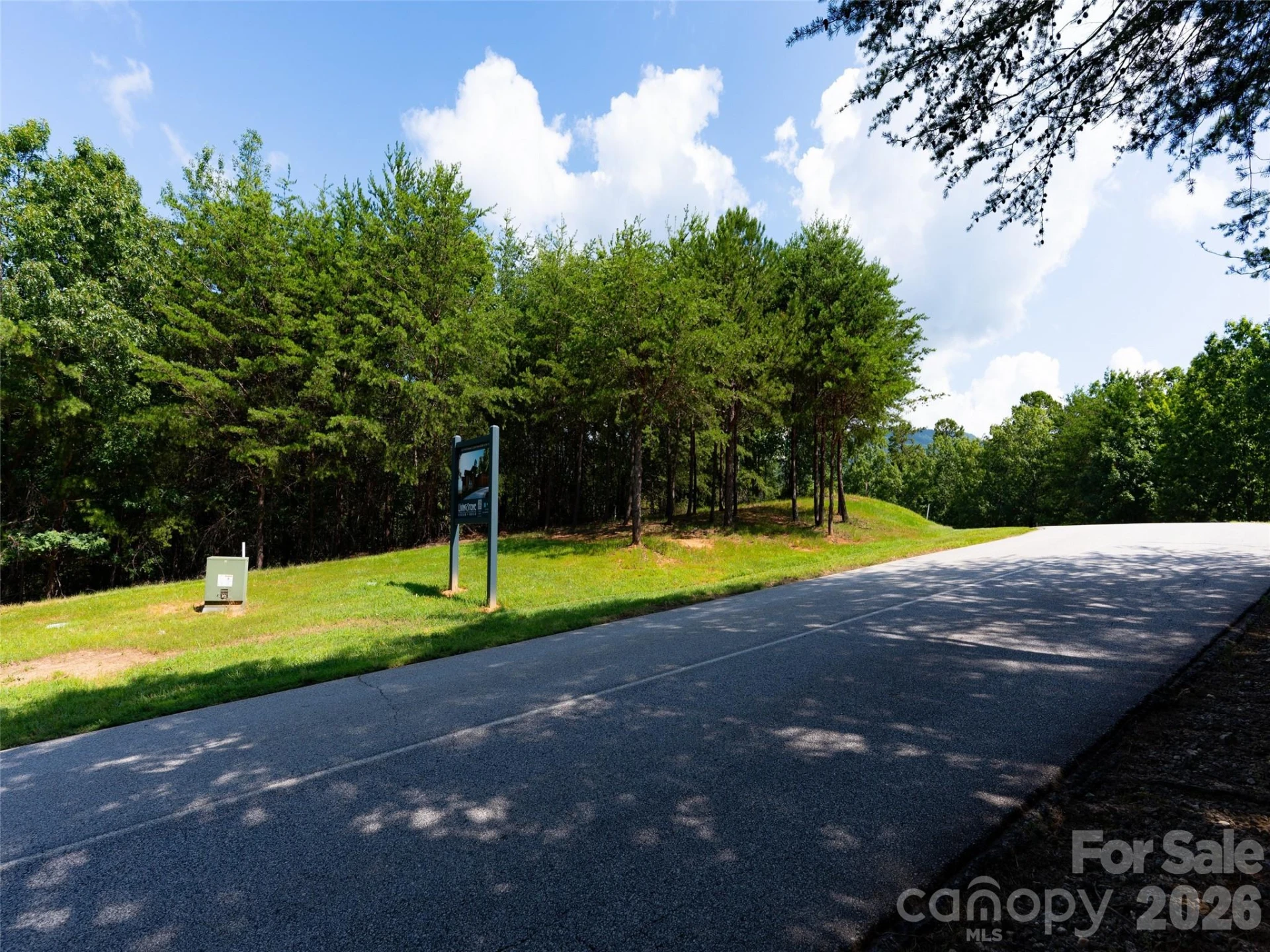40 Deep Gap Farm Road E - Photo 4