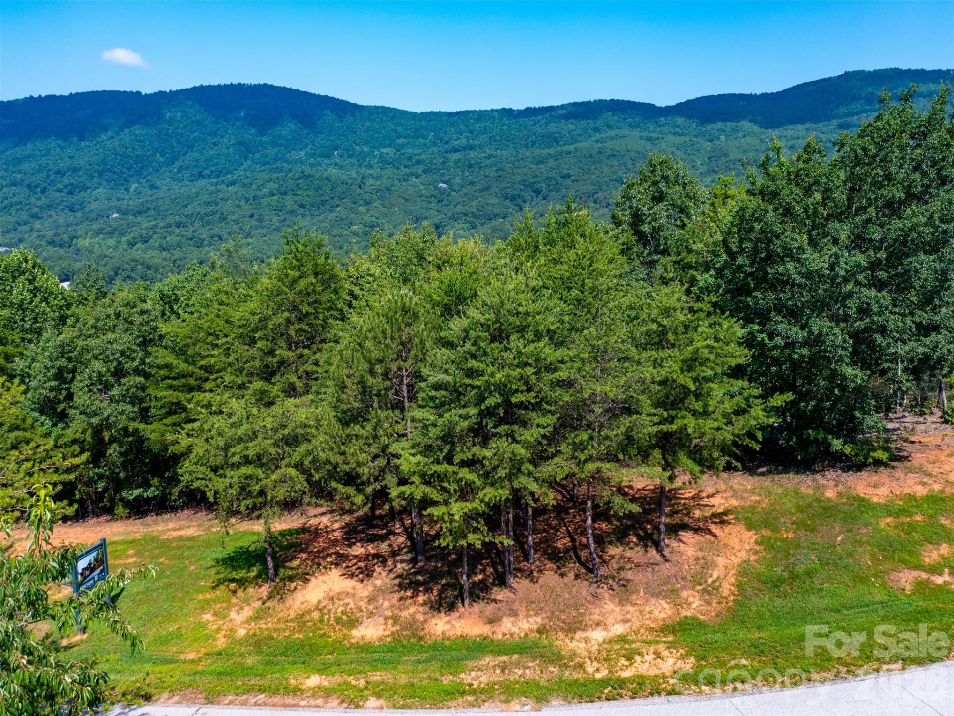 40 Deep Gap Farm Road E - Photo 8