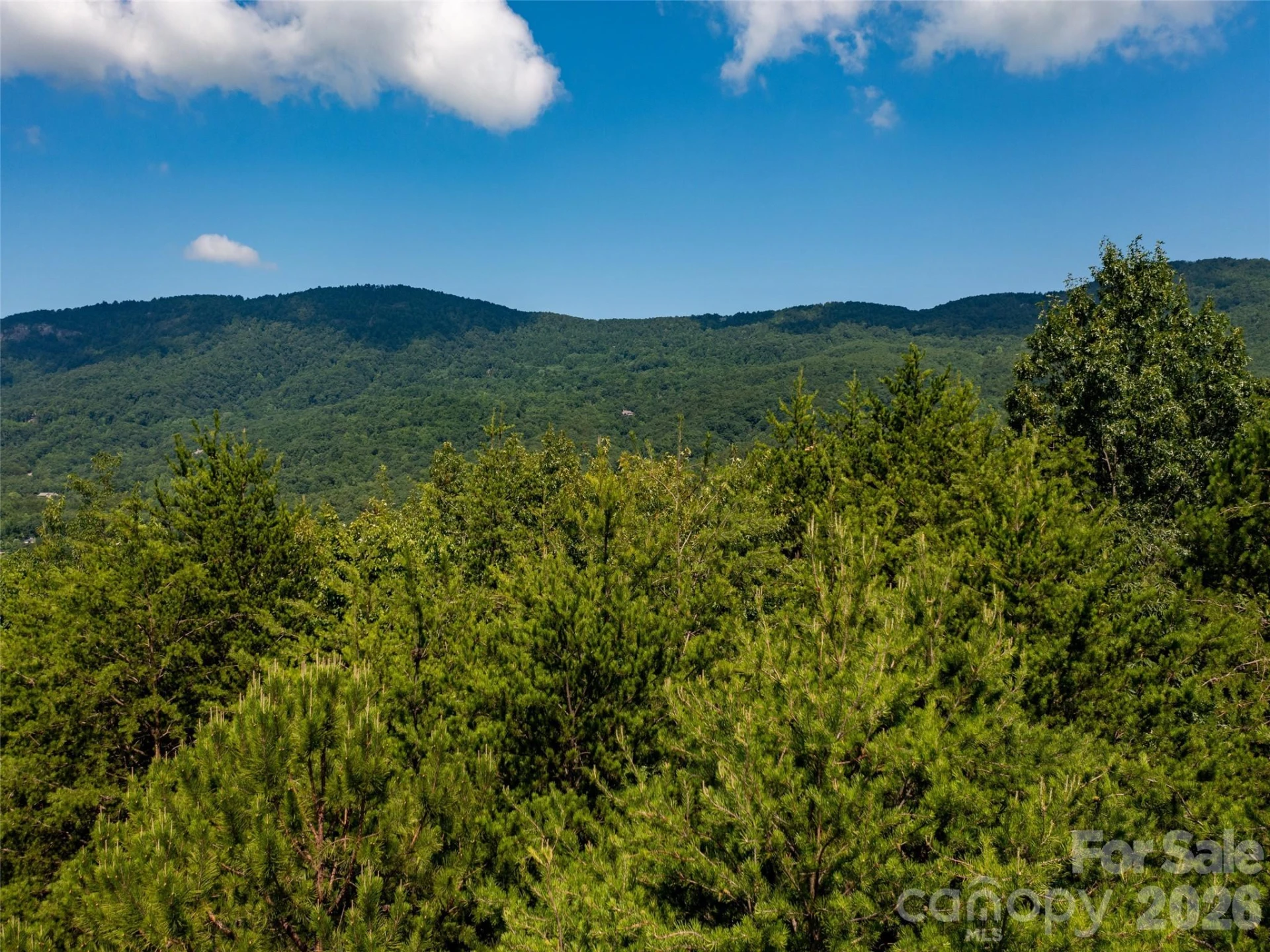 40 Deep Gap Farm Road E - Photo 9