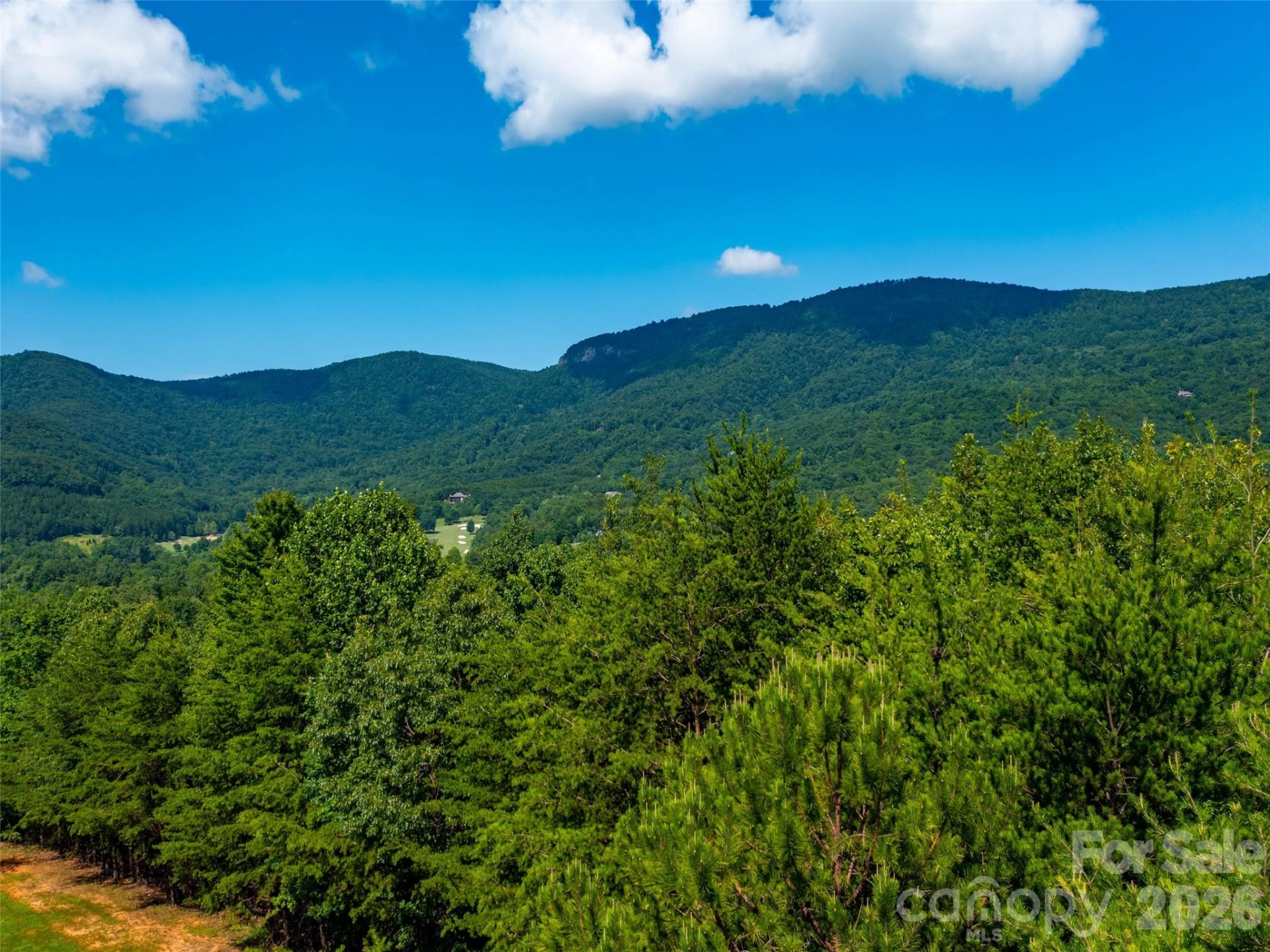 40 Deep Gap Farm Road E - Photo 10