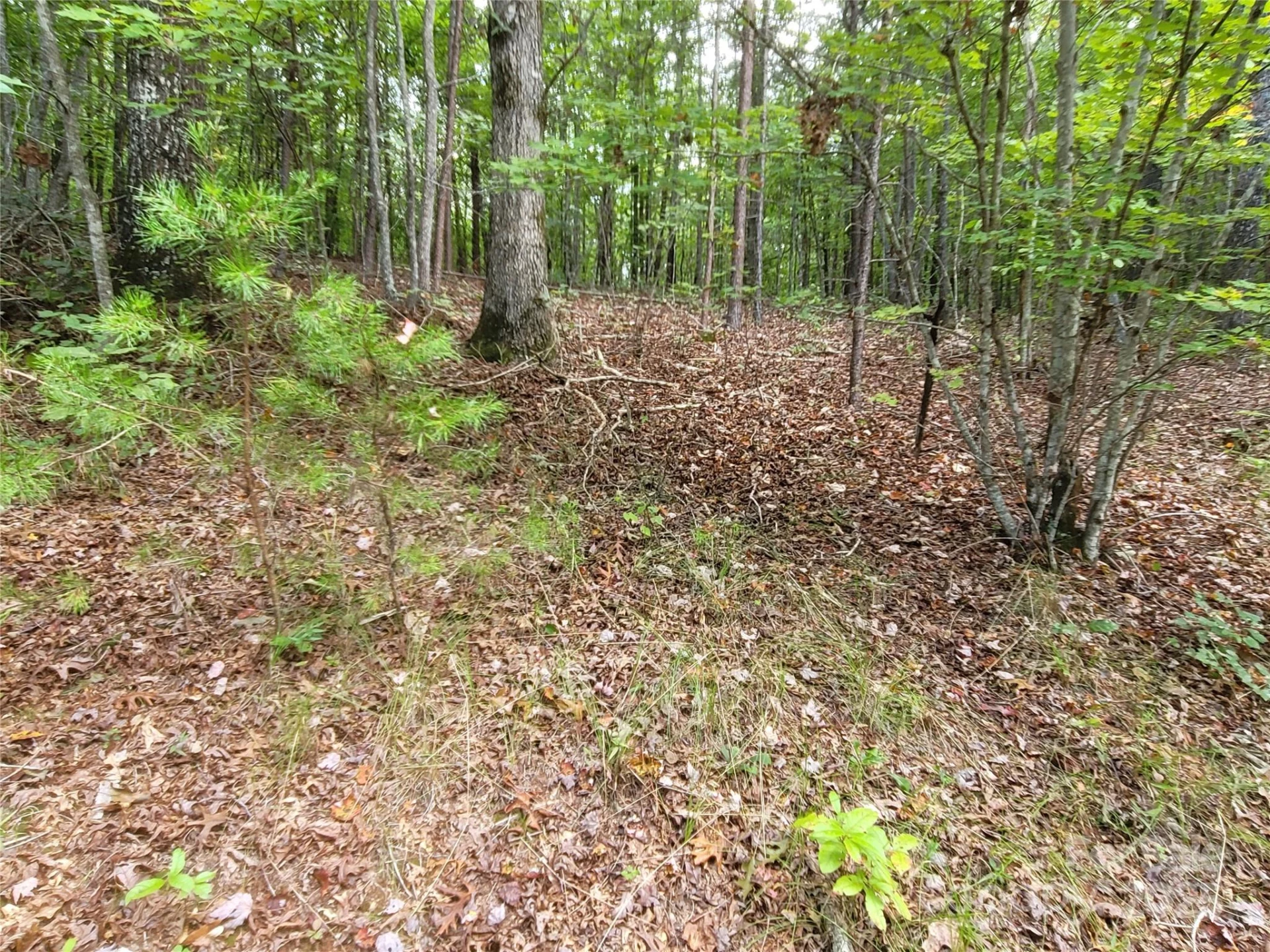 0 Big Level Road - Photo 12