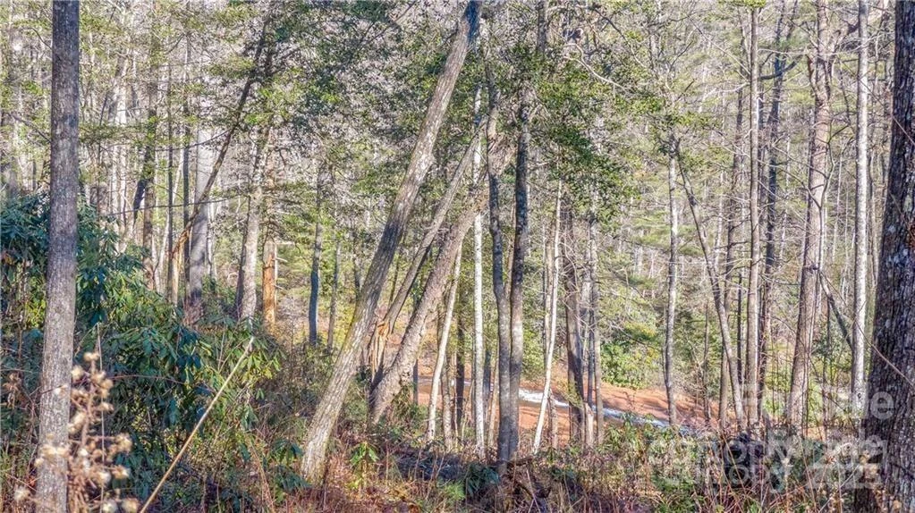 TBD Toxaway Falls Drive #TR-A - Photo 10