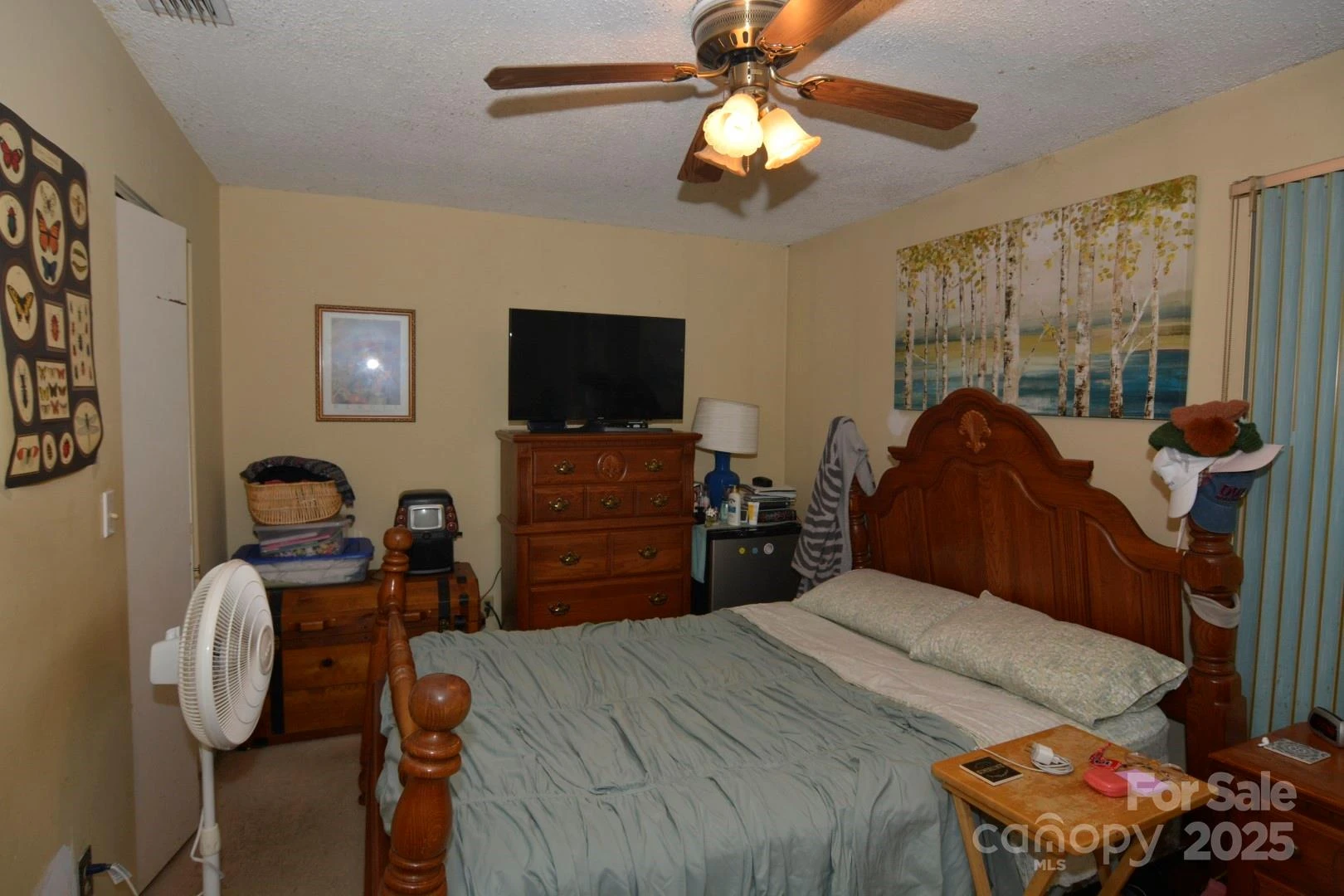 141 Colony Drive - Photo 5