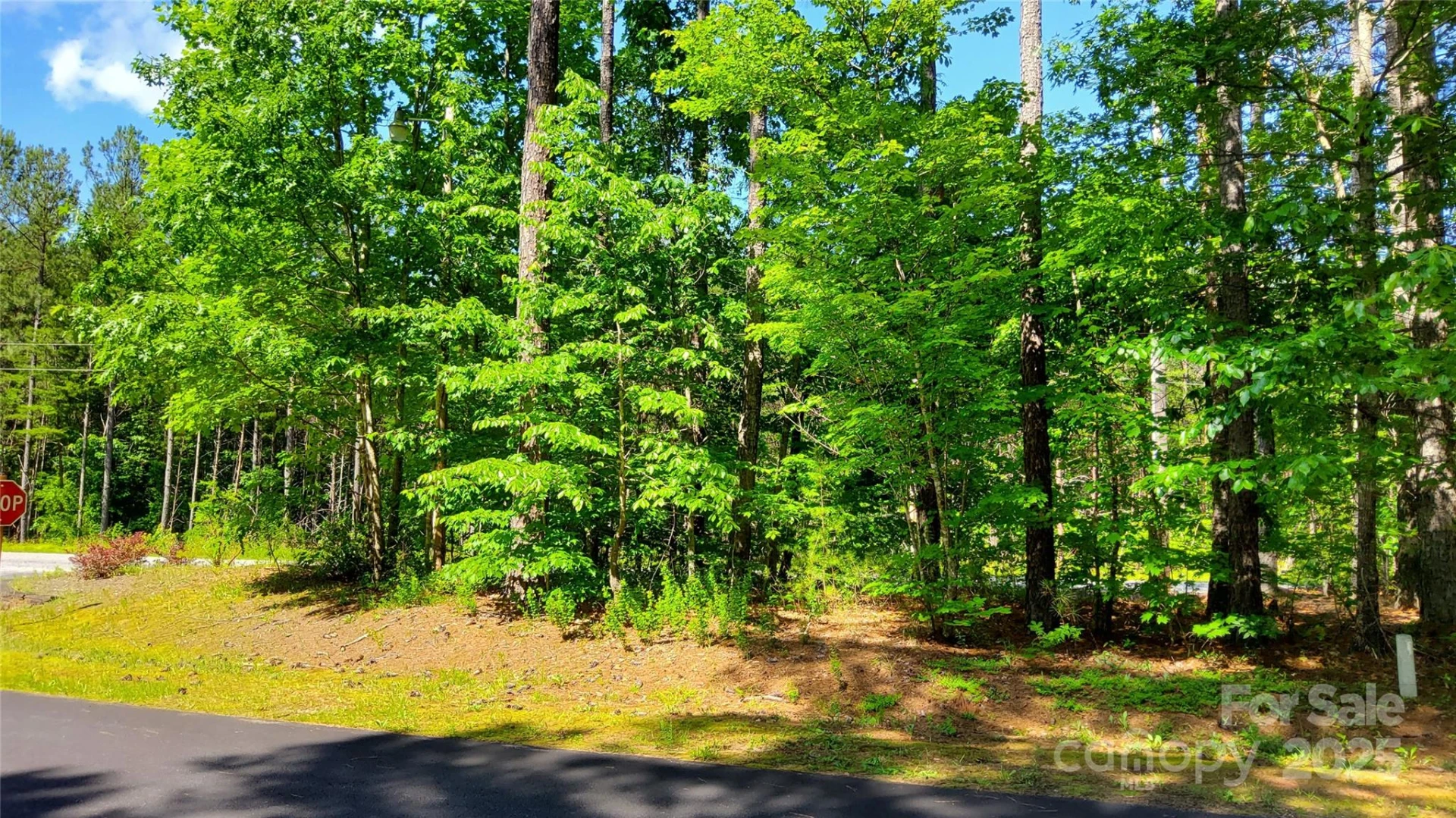 0000 Loblolly Lane #24/23/22 - Photo 2
