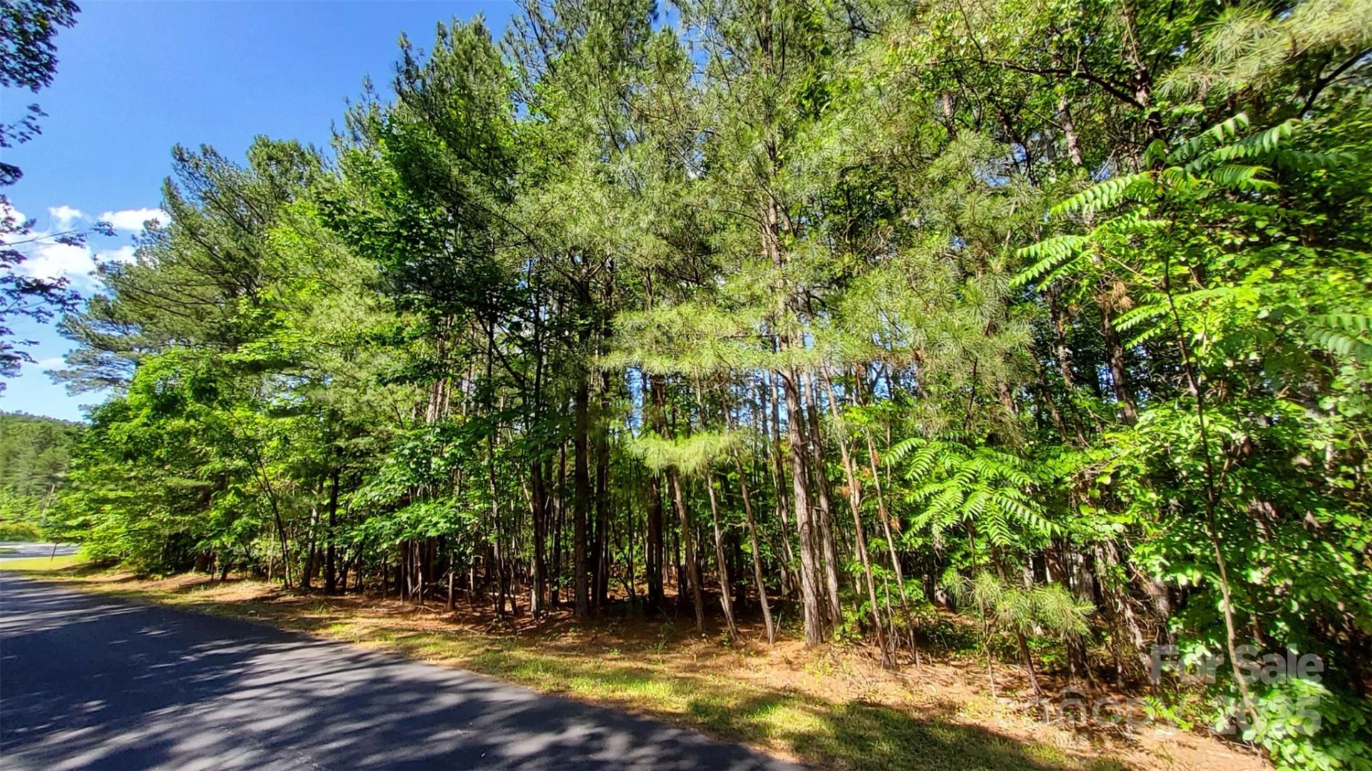0000 Loblolly Lane #24/23/22 - Photo 16