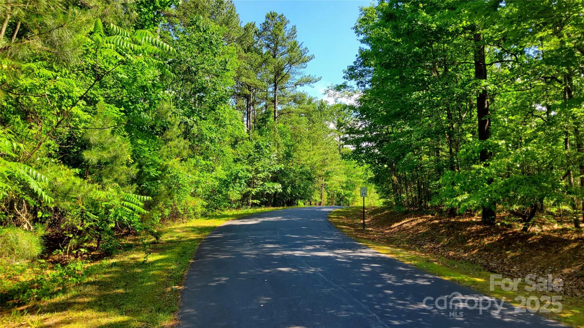 0000 Loblolly Lane #24/23/22 - Photo 3