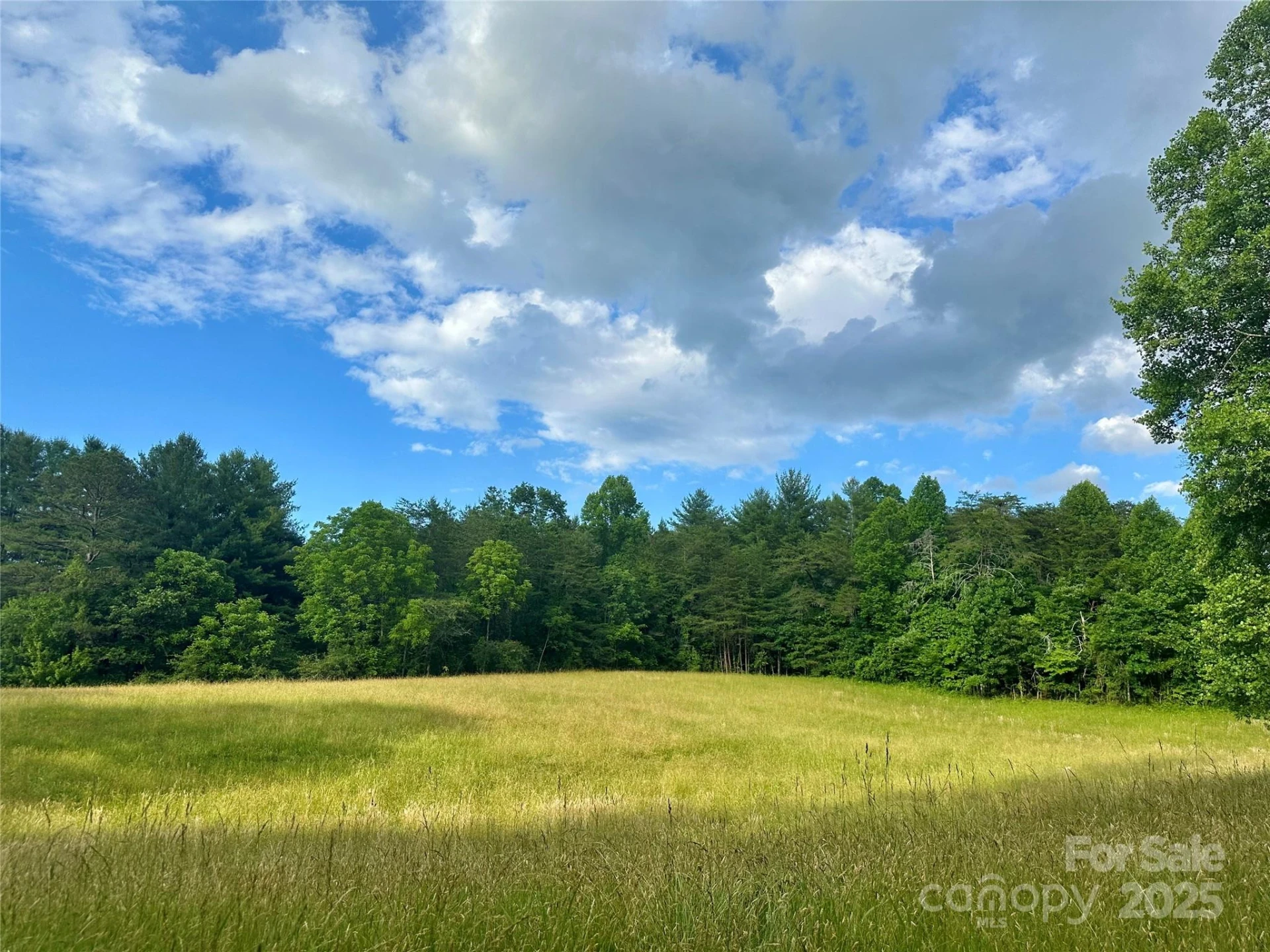 99999 Jenkins Valley Road