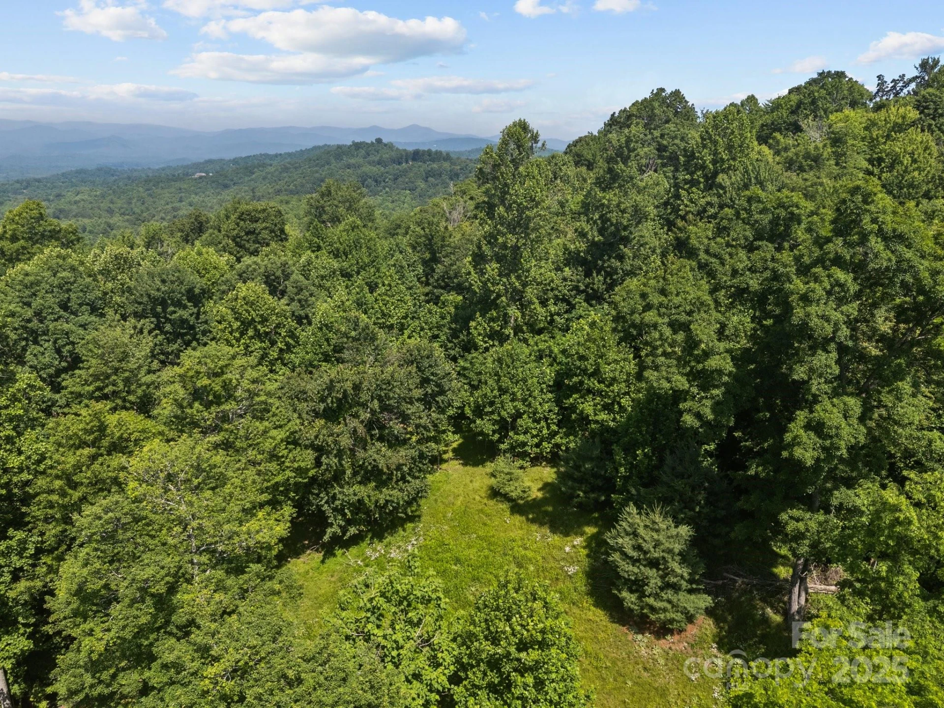 1063 Somersby Parkway #3 - Photo 6